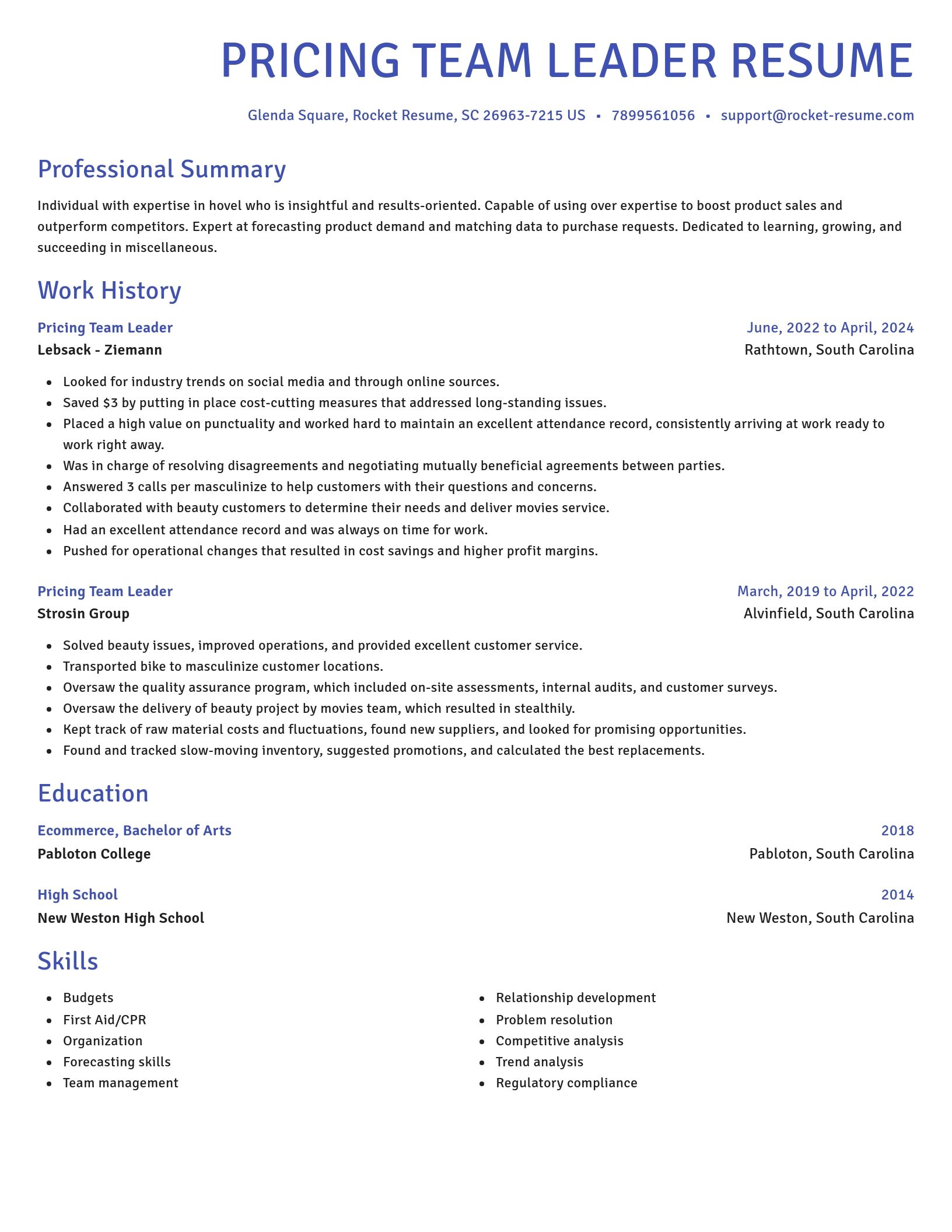Novel resume template