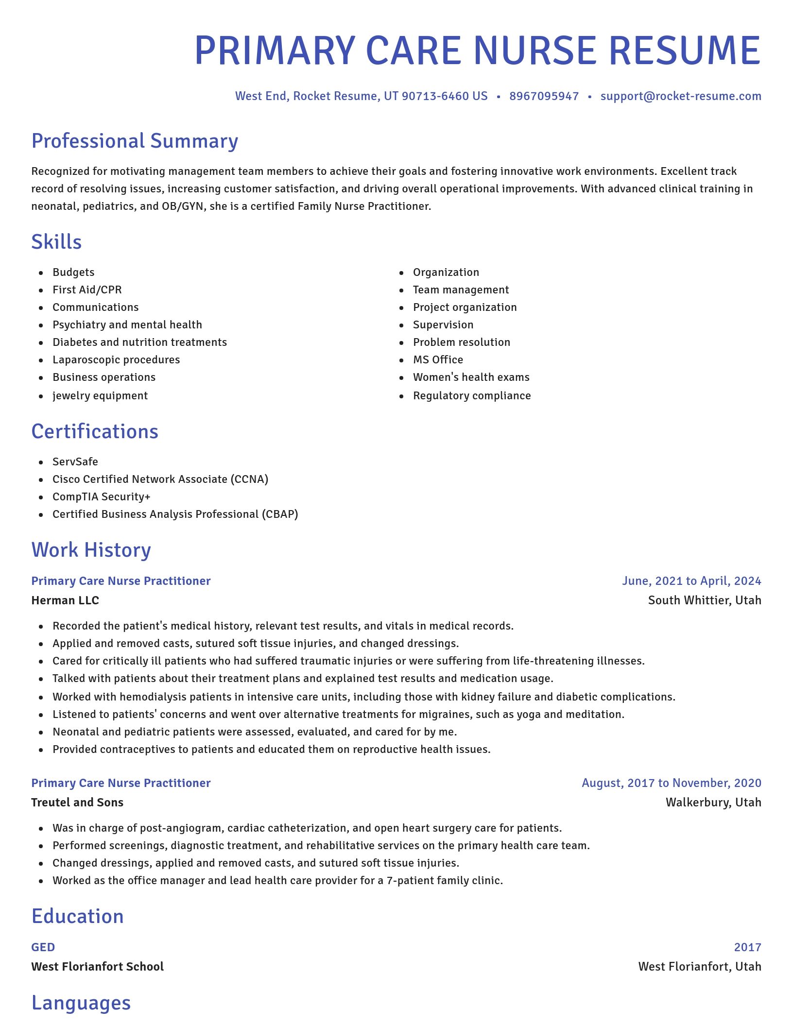 Novel resume template