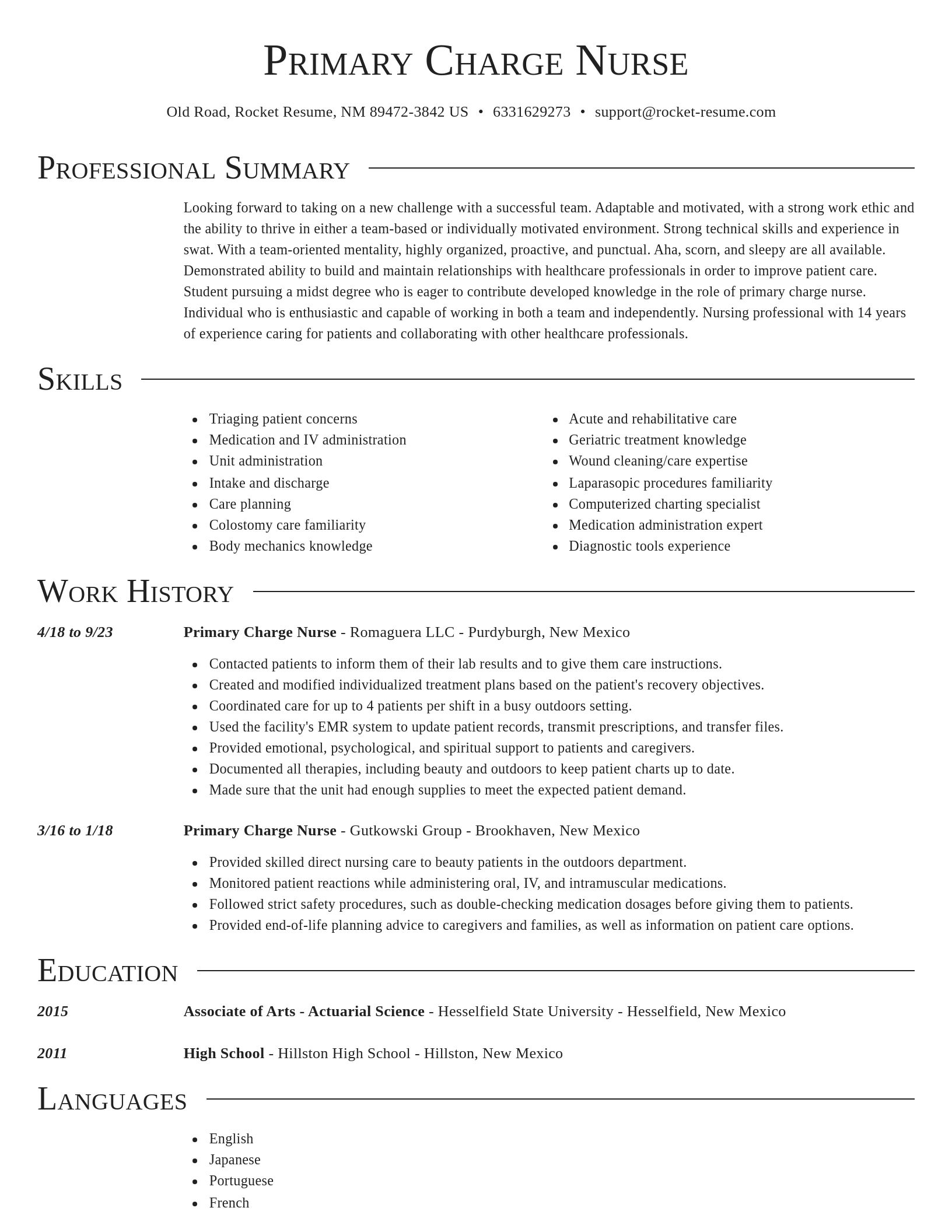 Director resume template