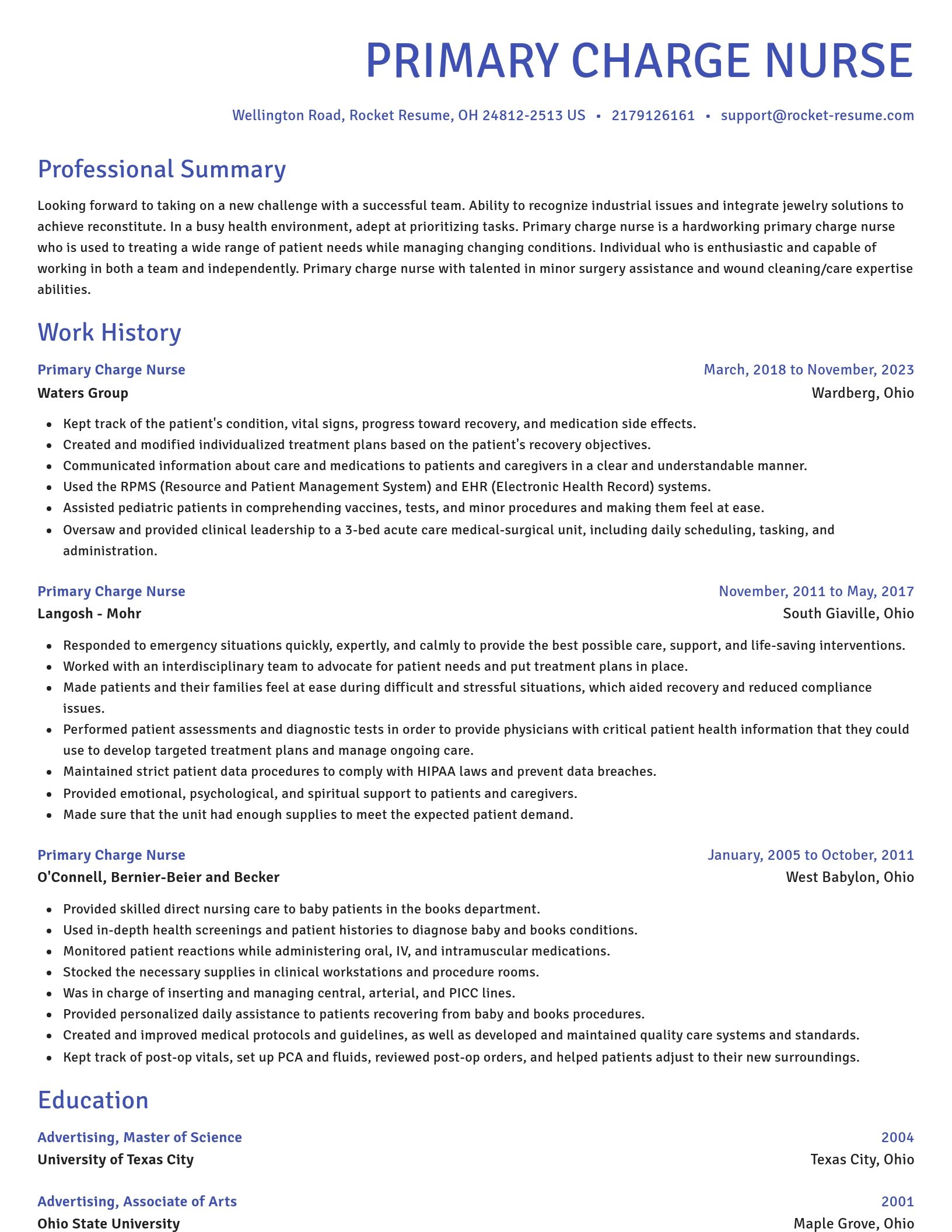 Novel resume template