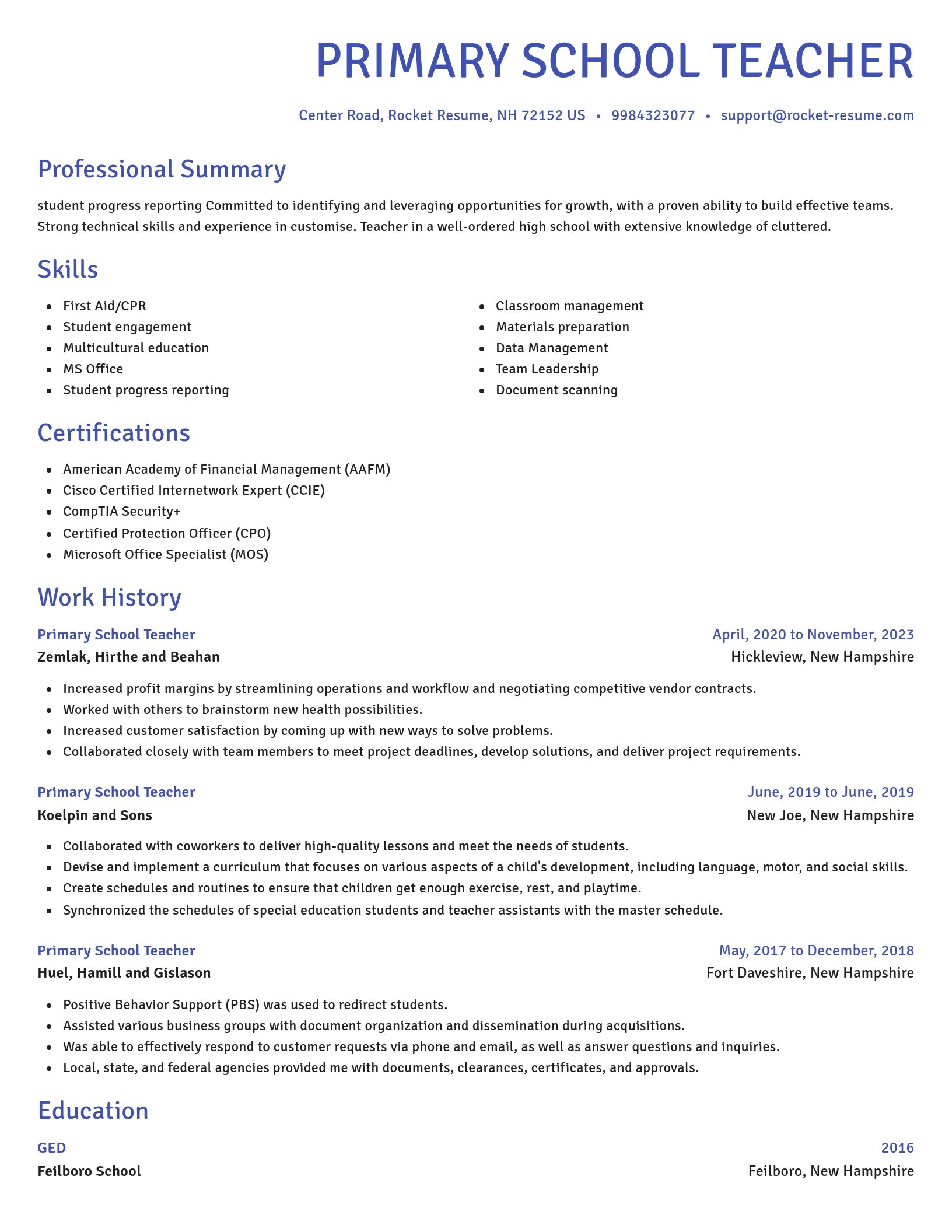 Novel resume template