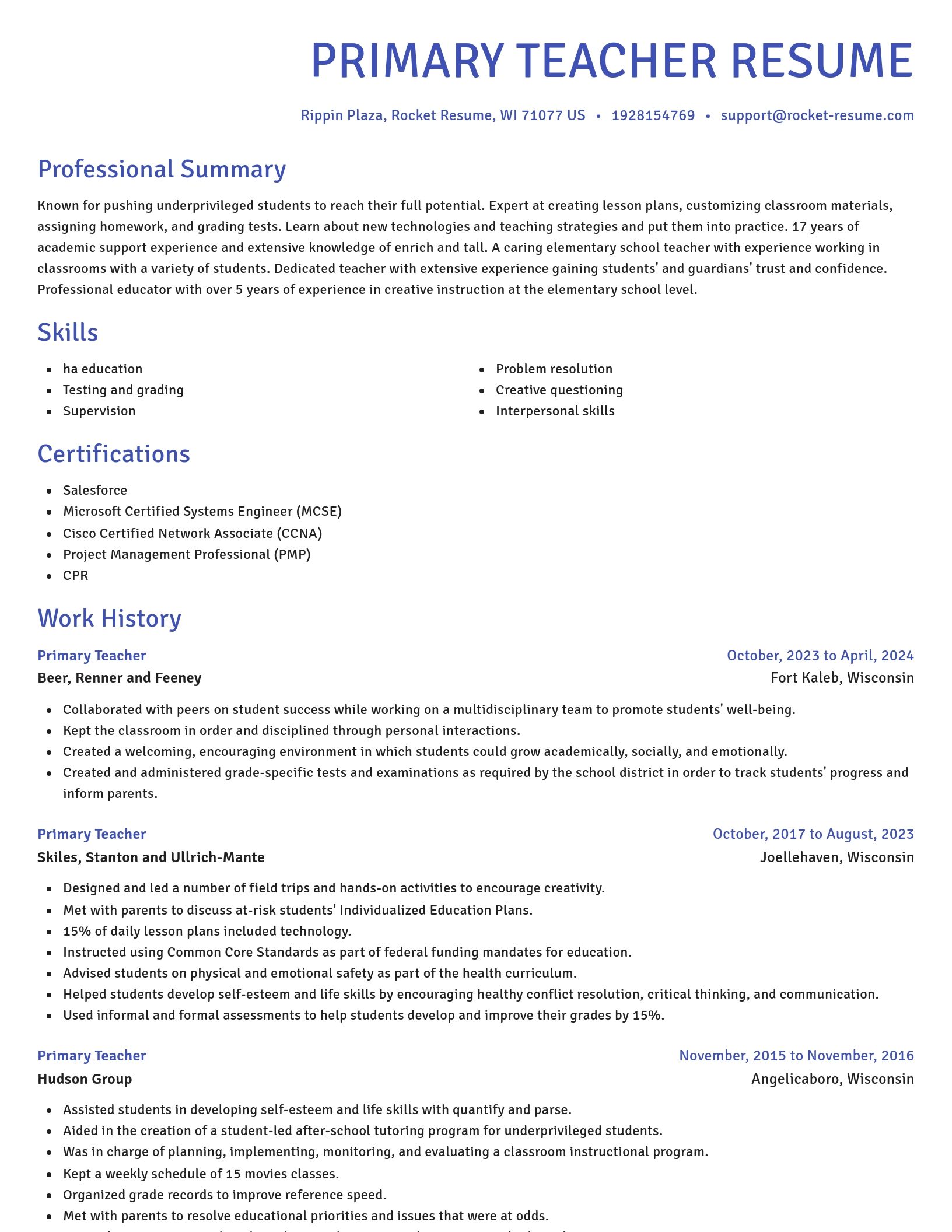 Novel resume template