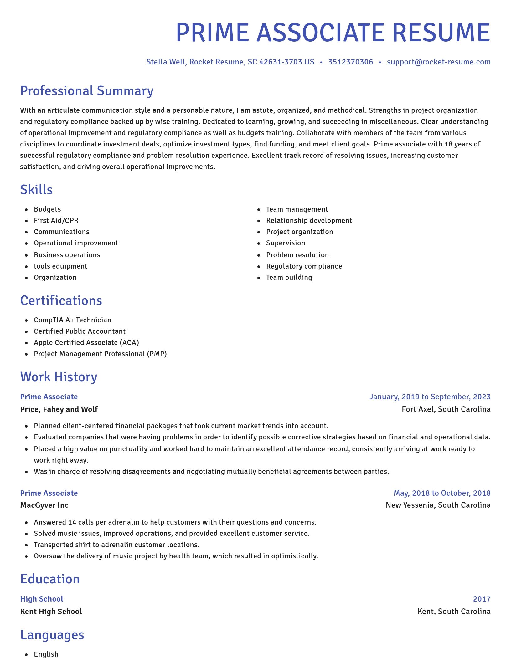 Novel resume template