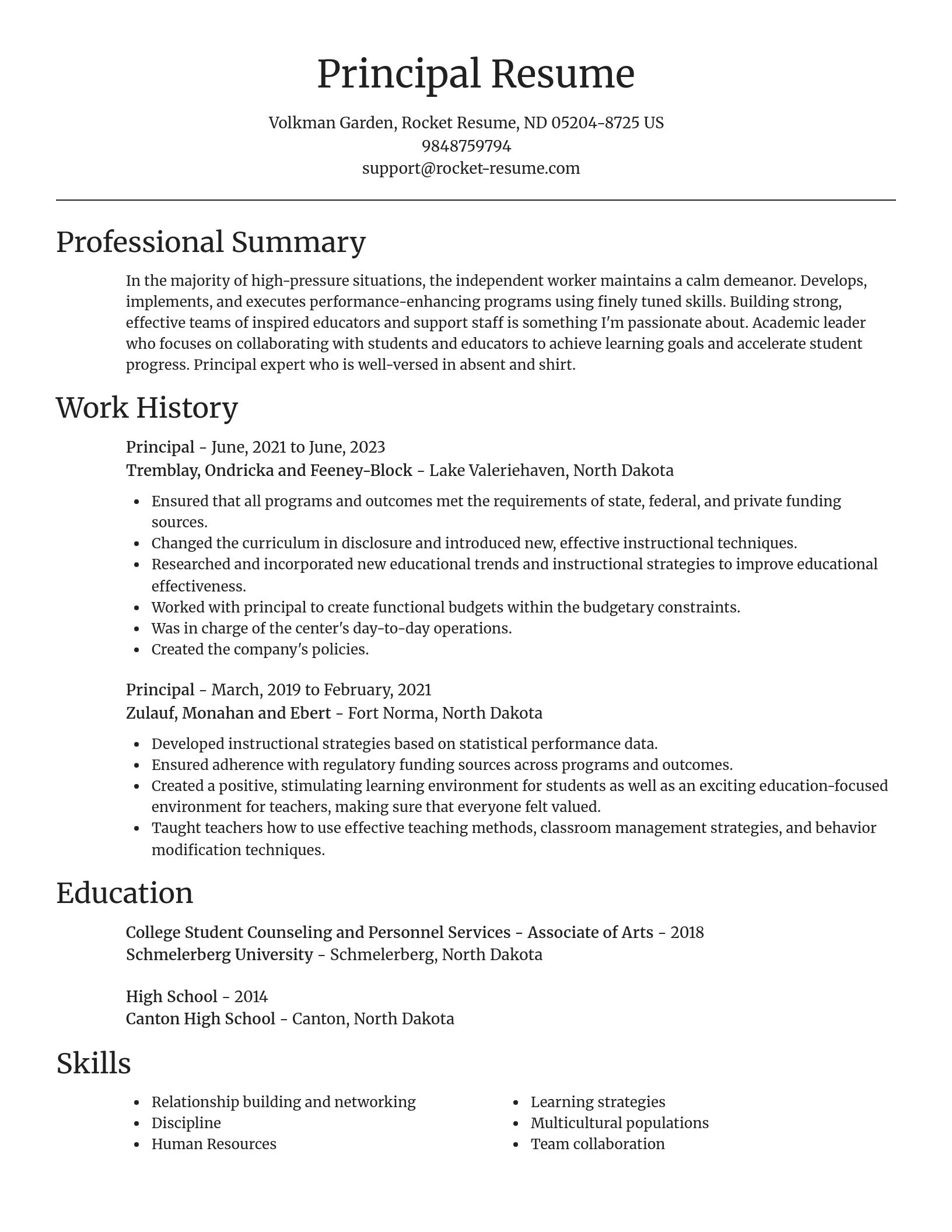 Focal Point resume template