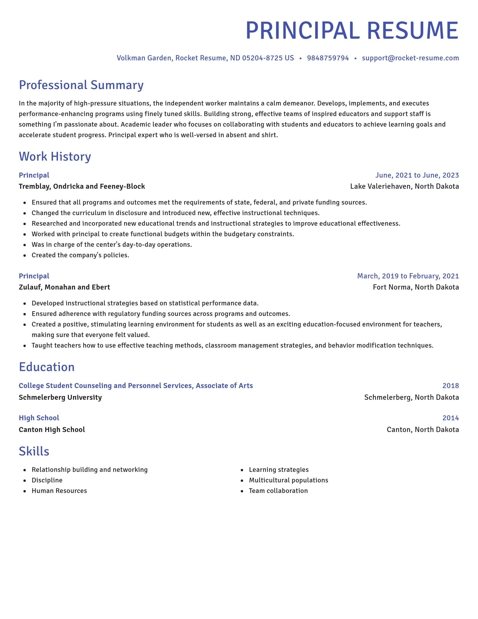 Novel resume template