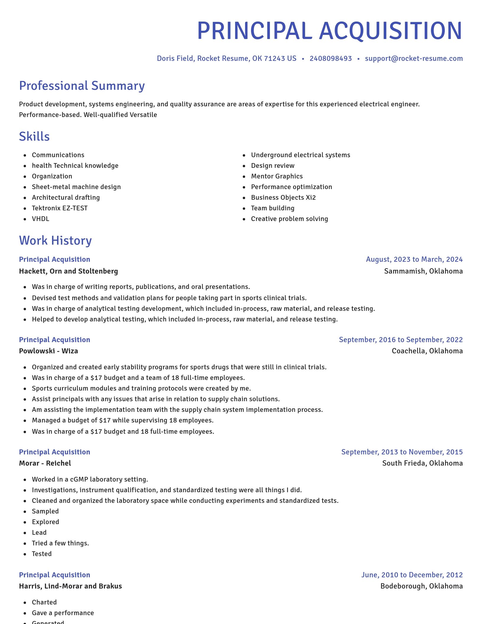 Novel resume template