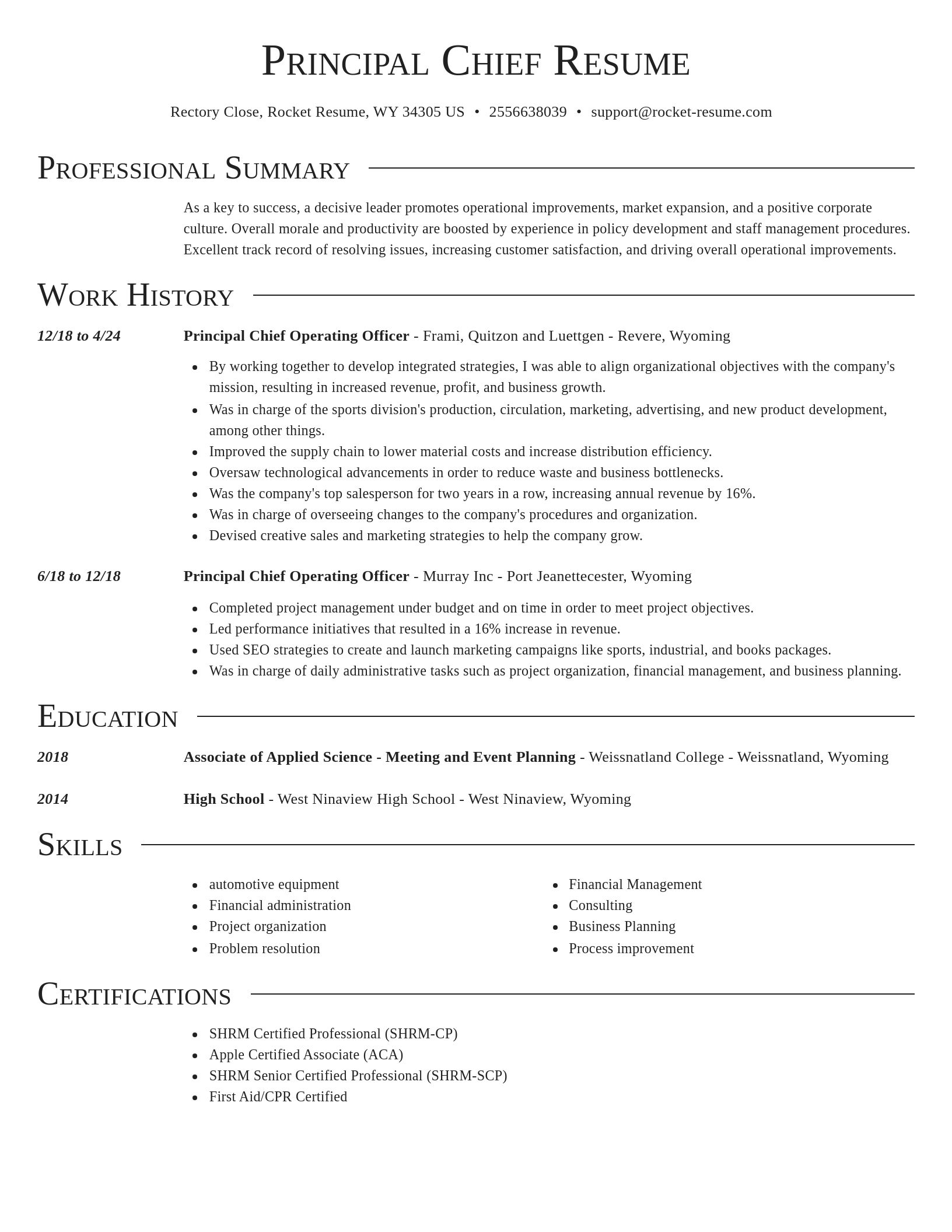 Director resume template