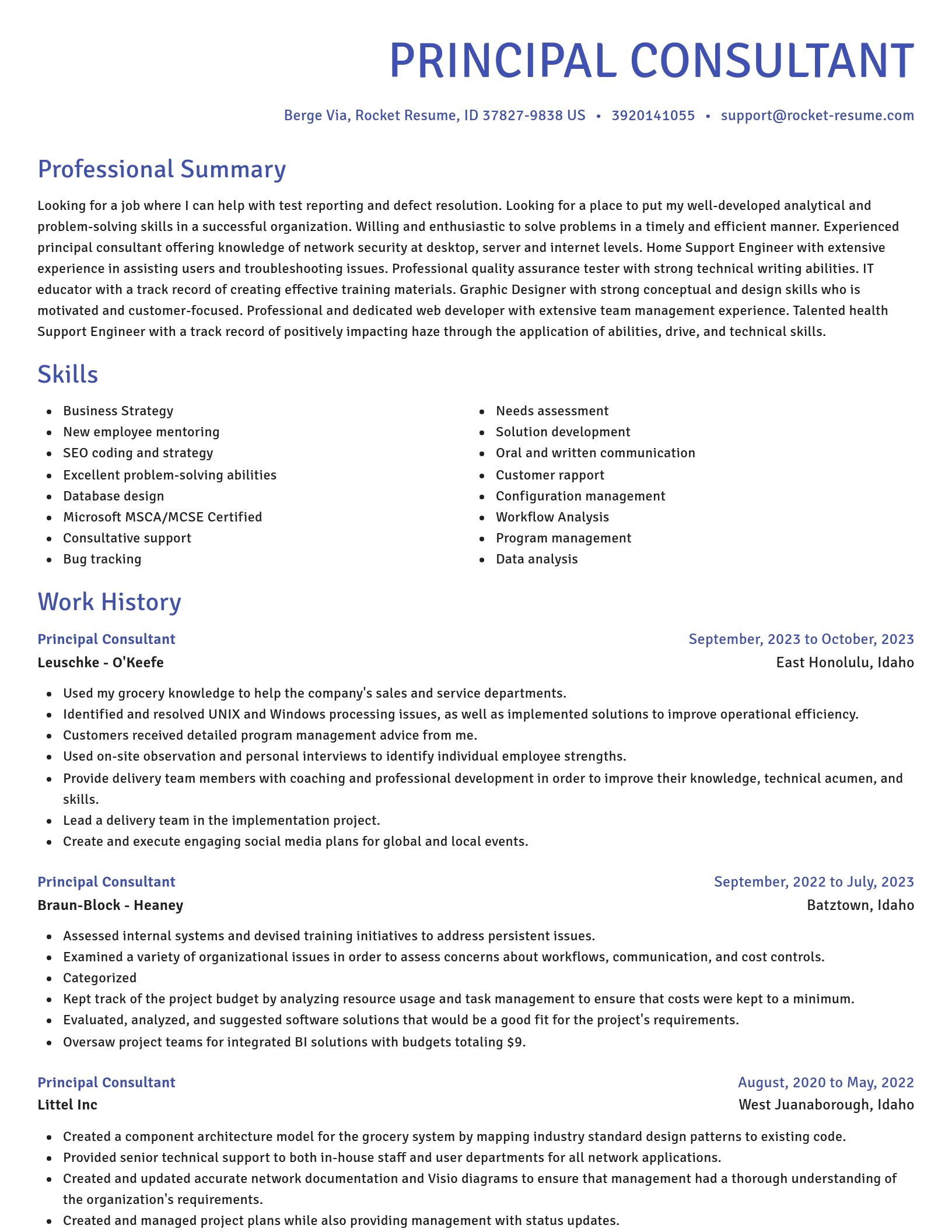 Novel resume template