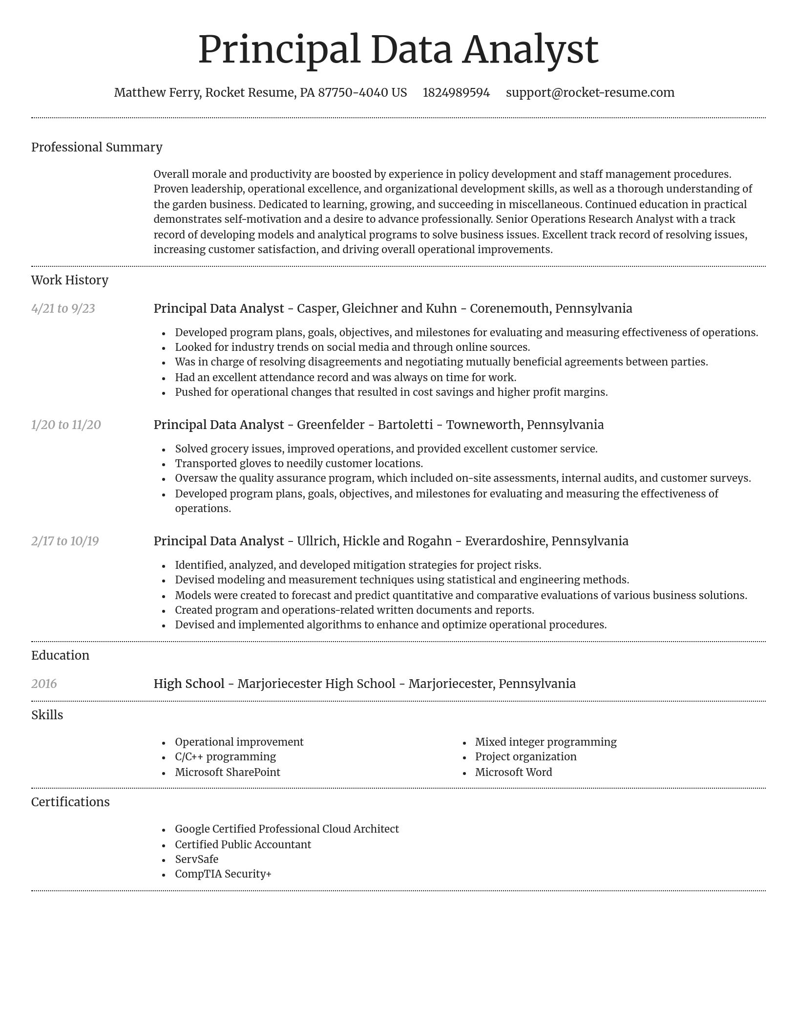 Dignified resume template
