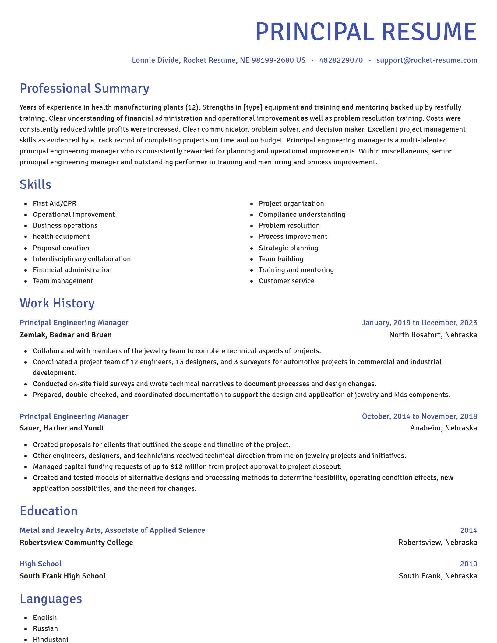 Novel resume template
