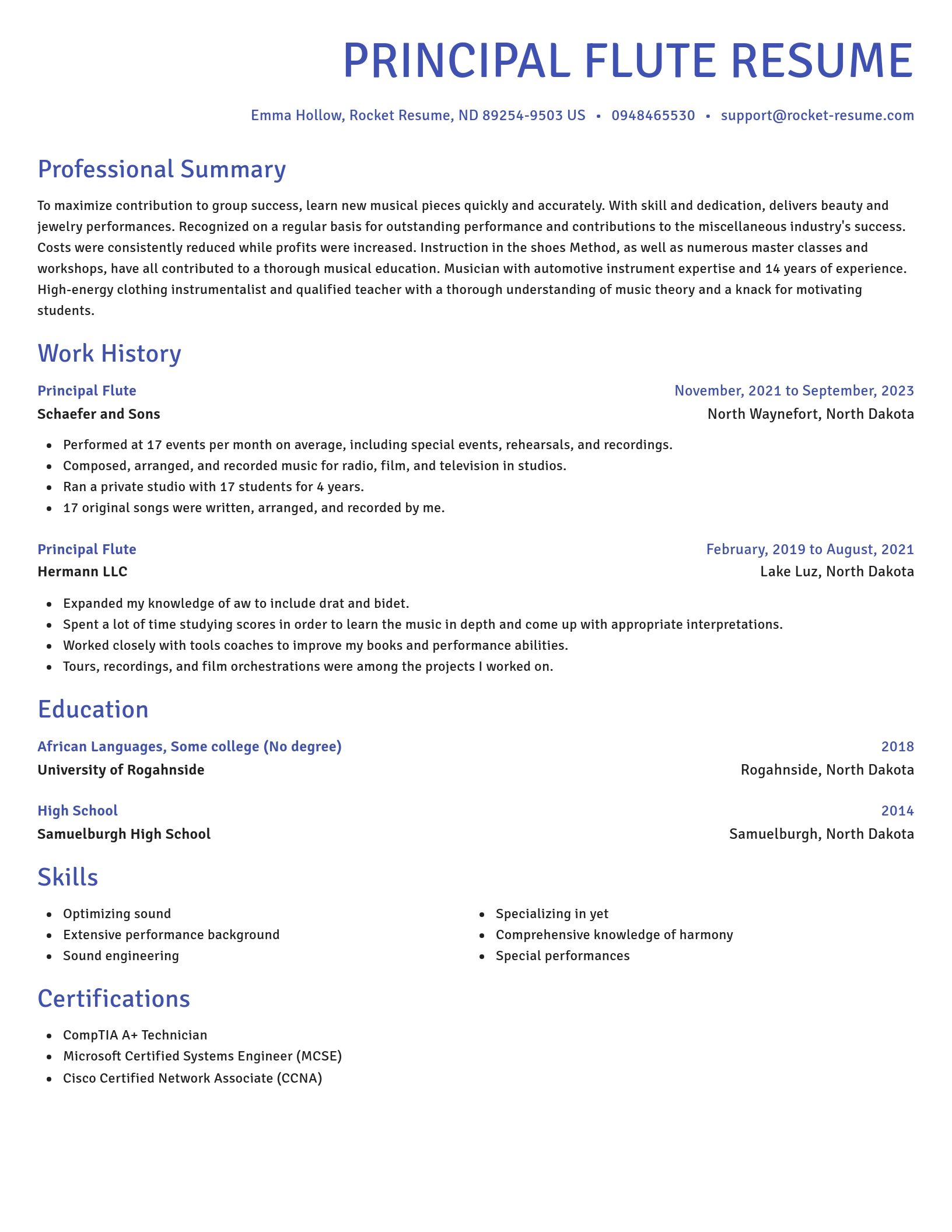 Novel resume template