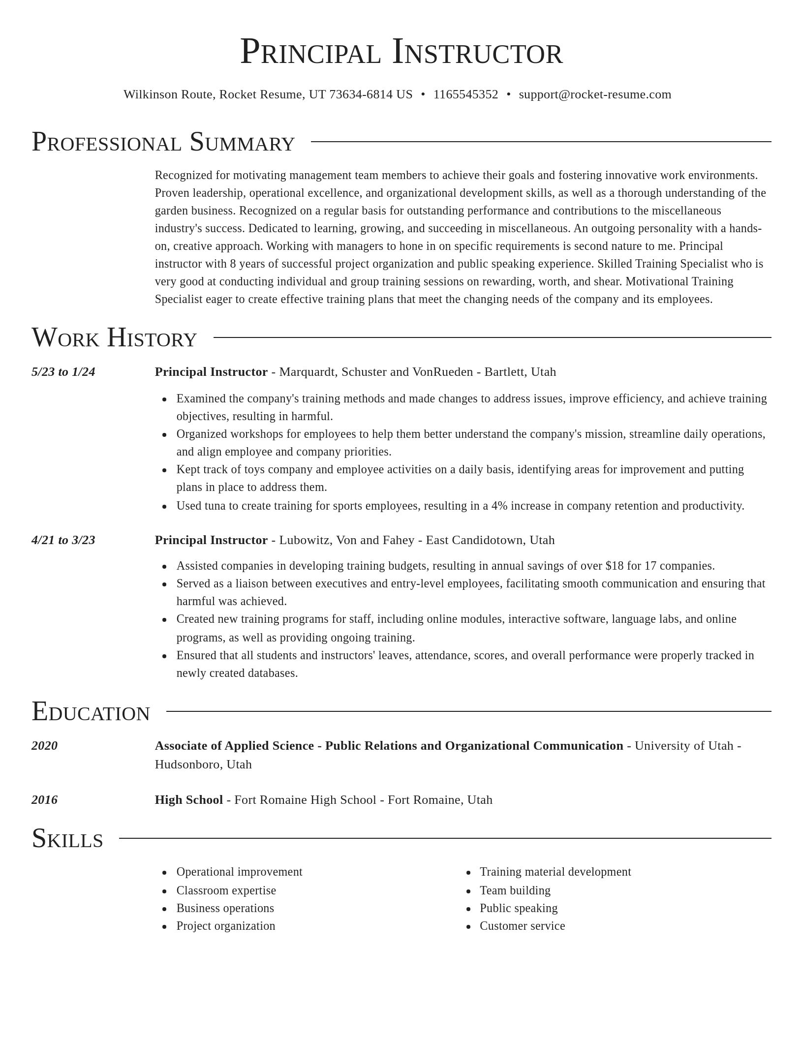 Director resume template