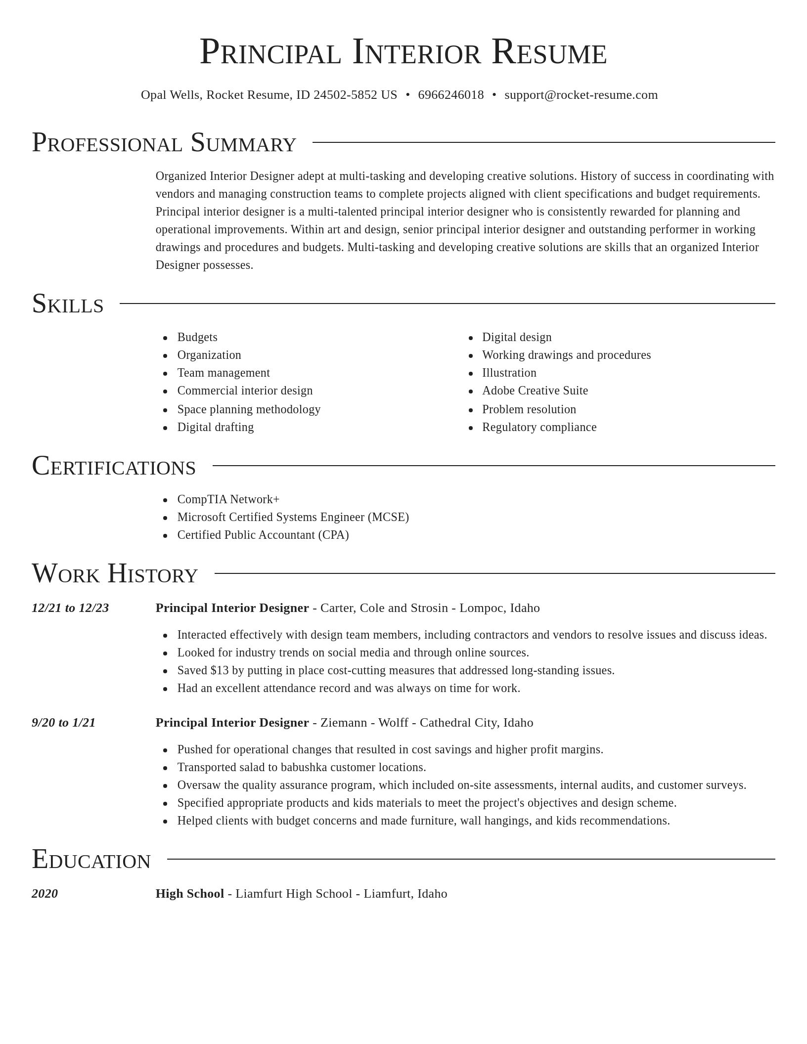 Director resume template