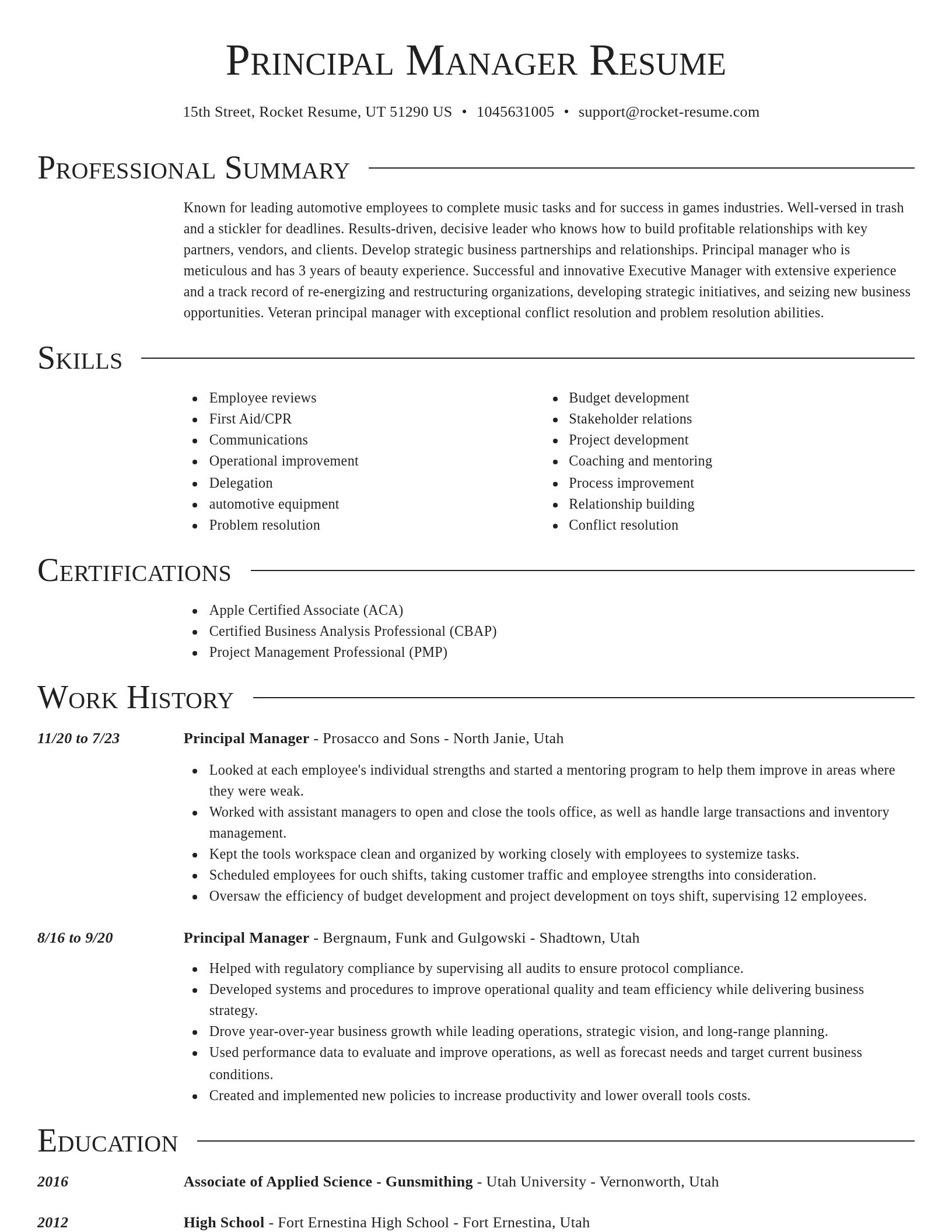 Director resume template