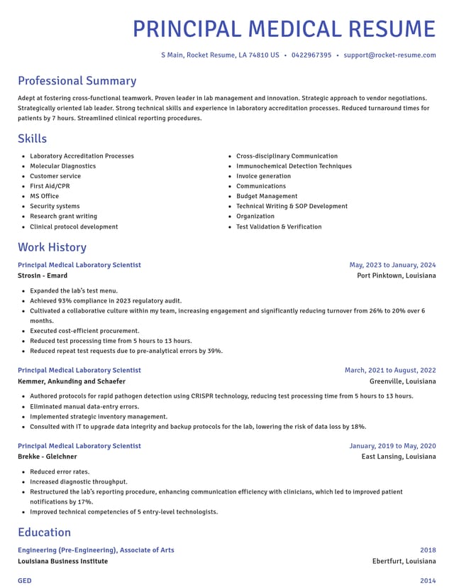 Novel resume template