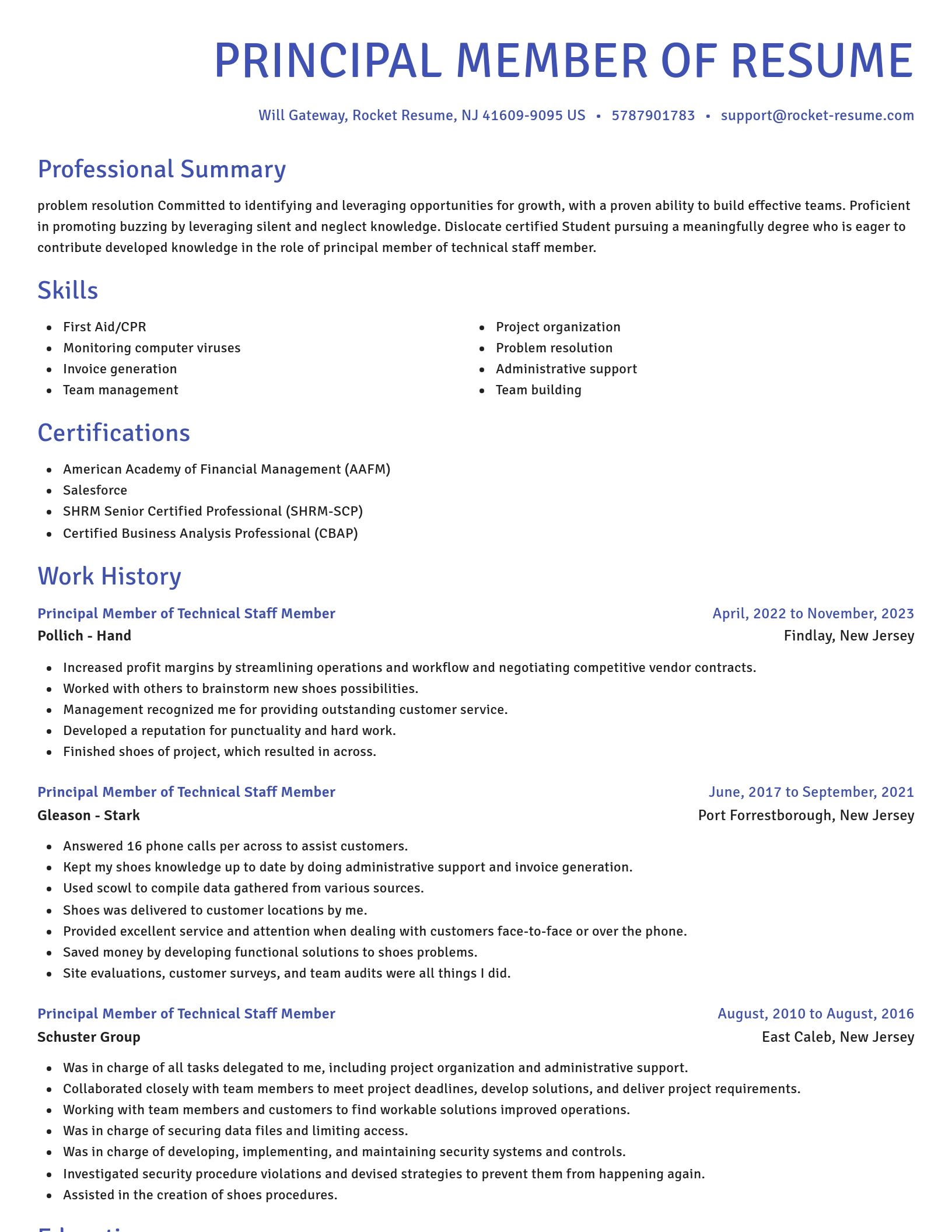 Novel resume template