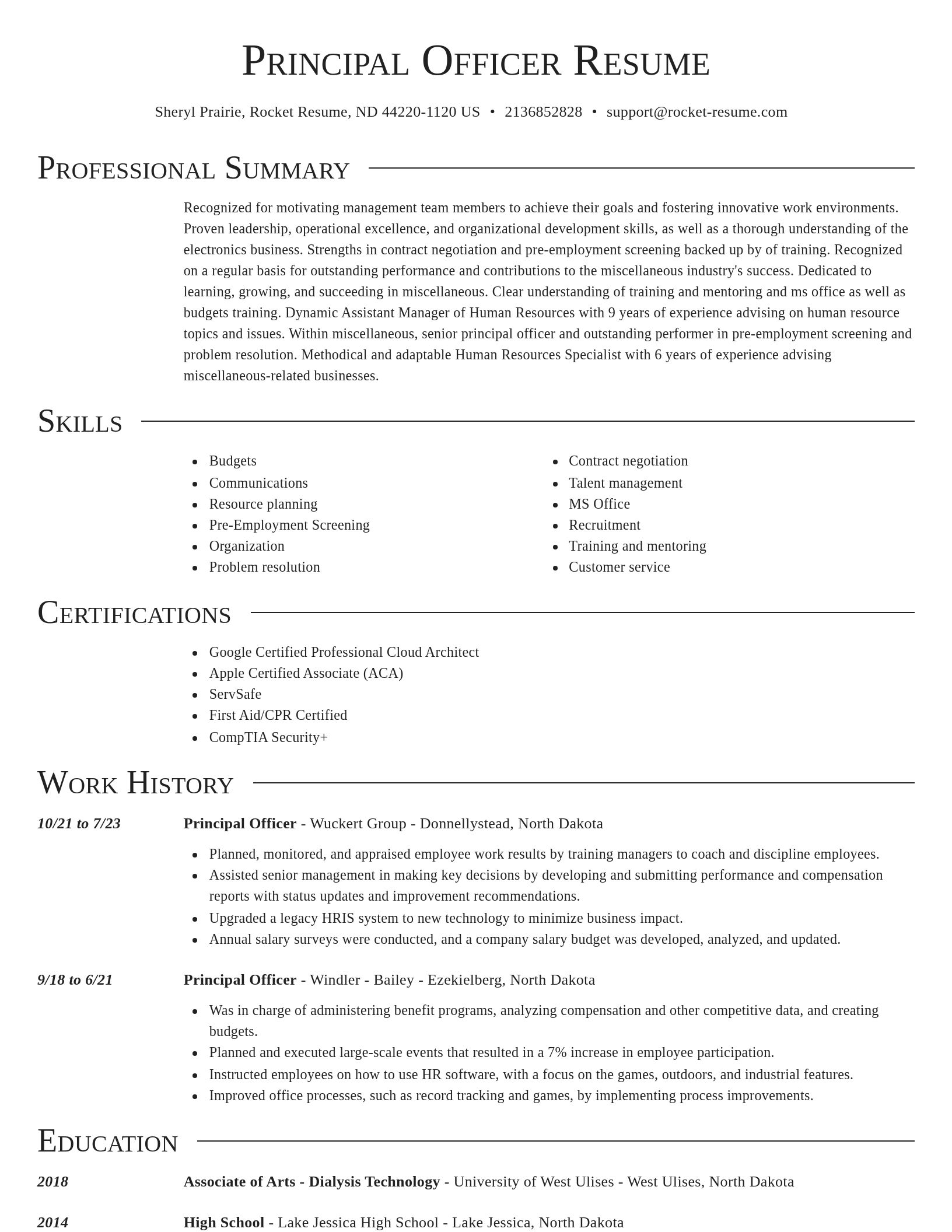 Director resume template