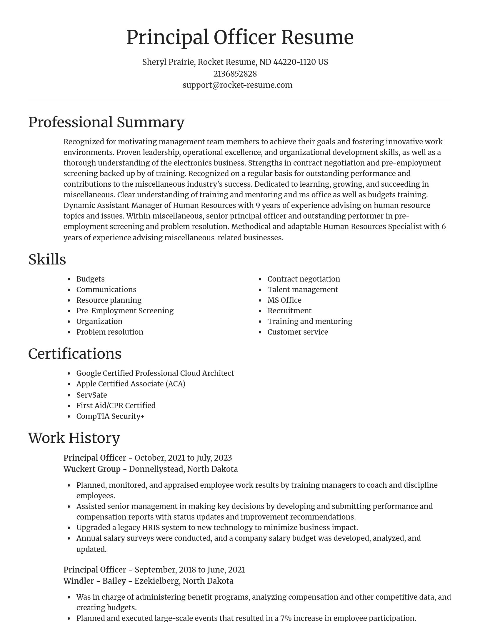 Focal Point resume template