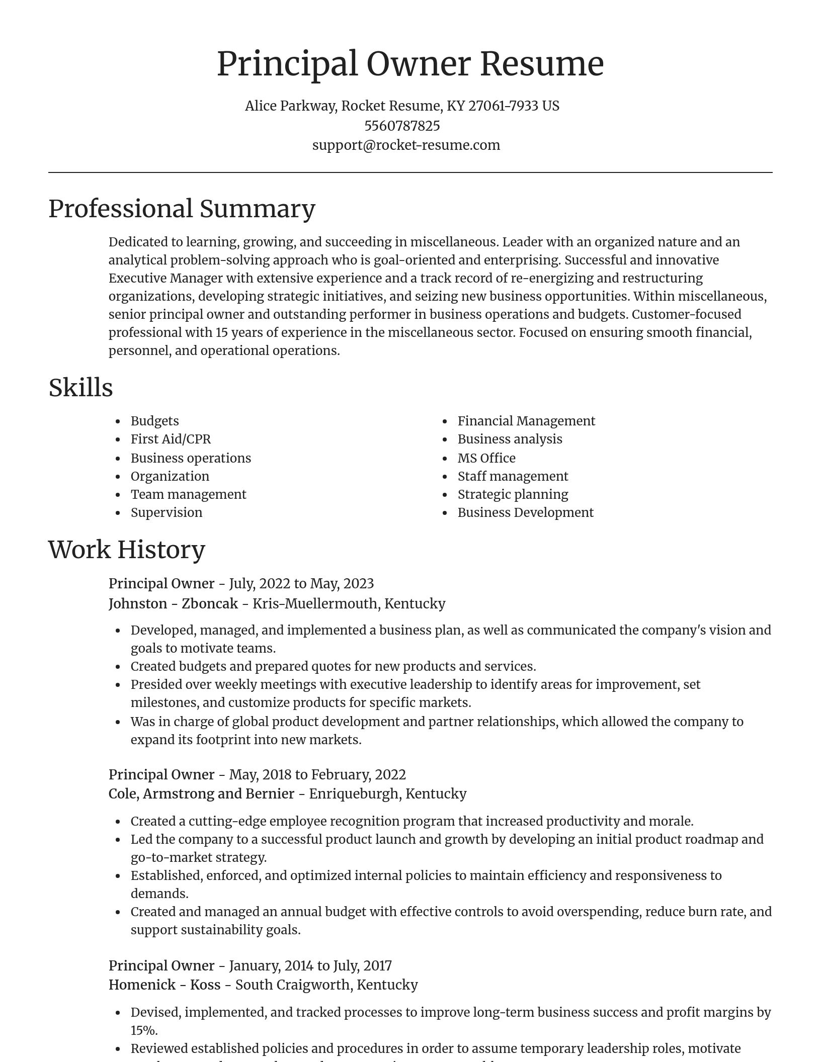 Focal Point resume template