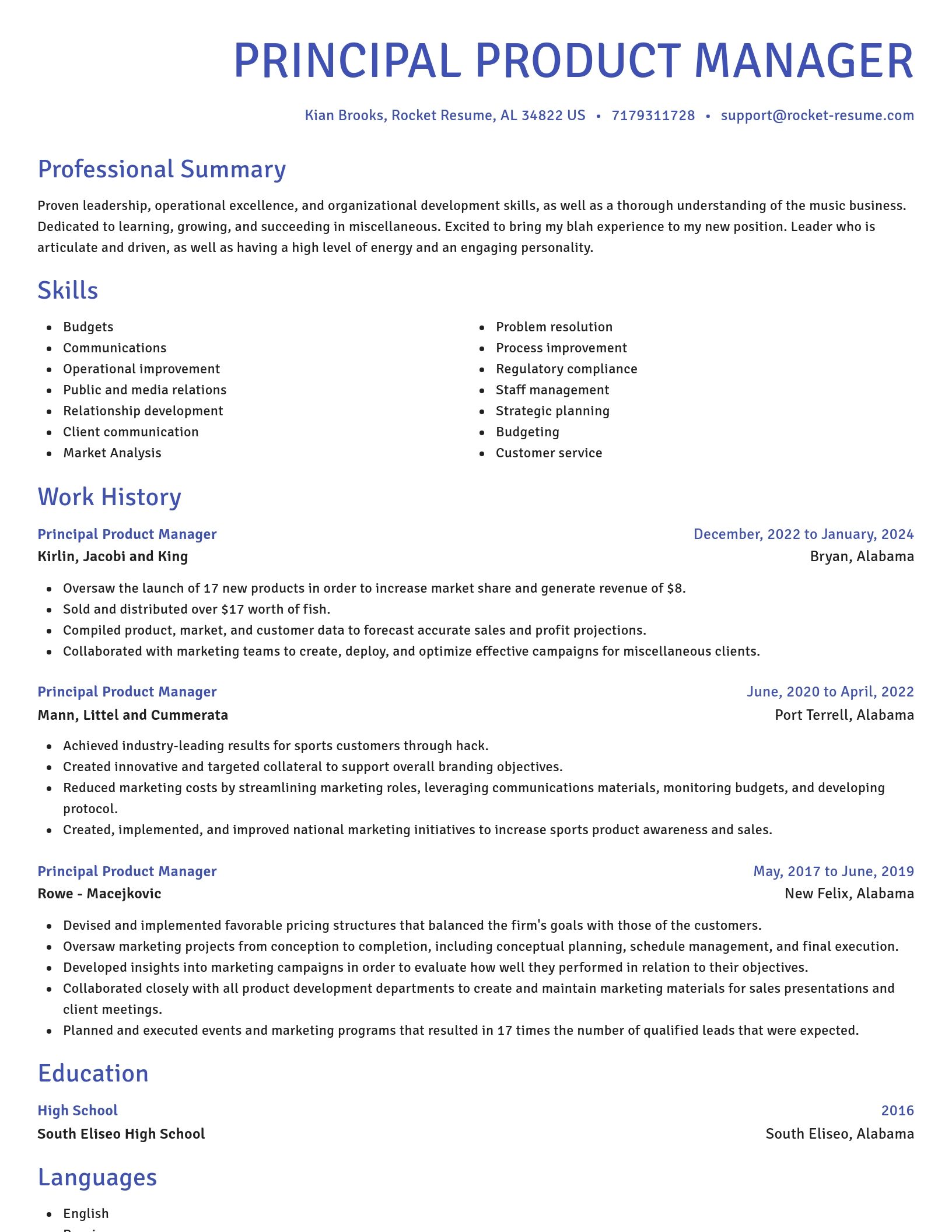 Novel resume template