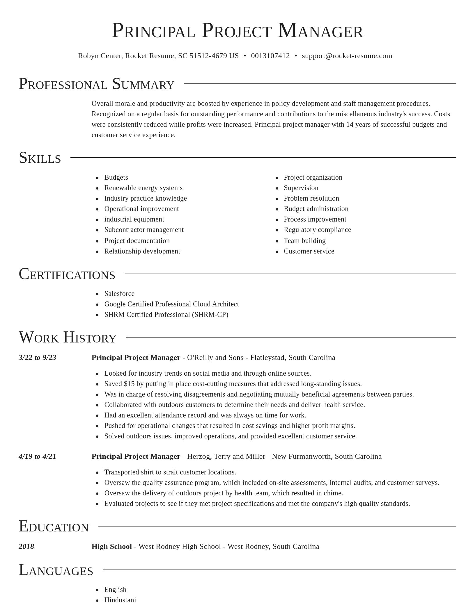 Director resume template