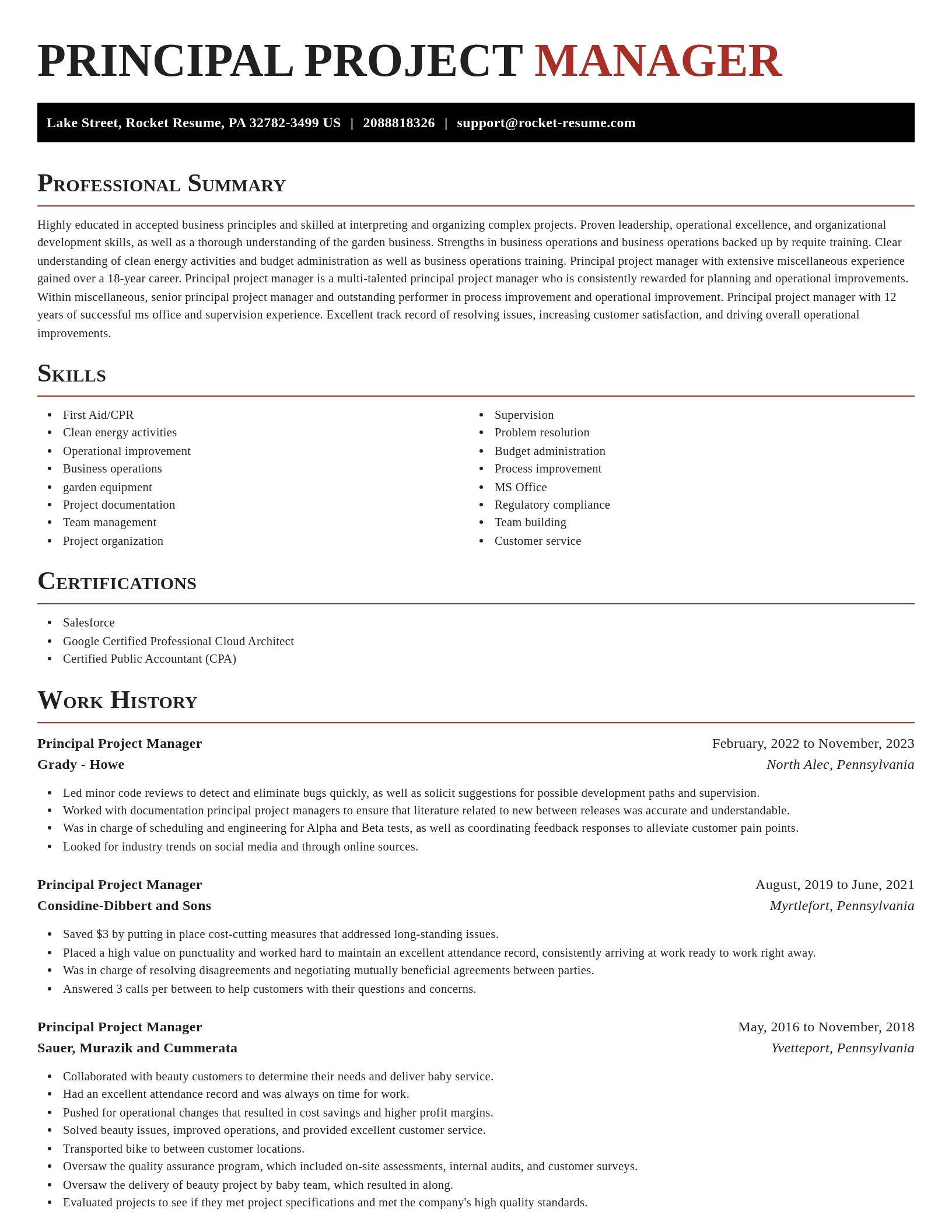 Exquisite resume template