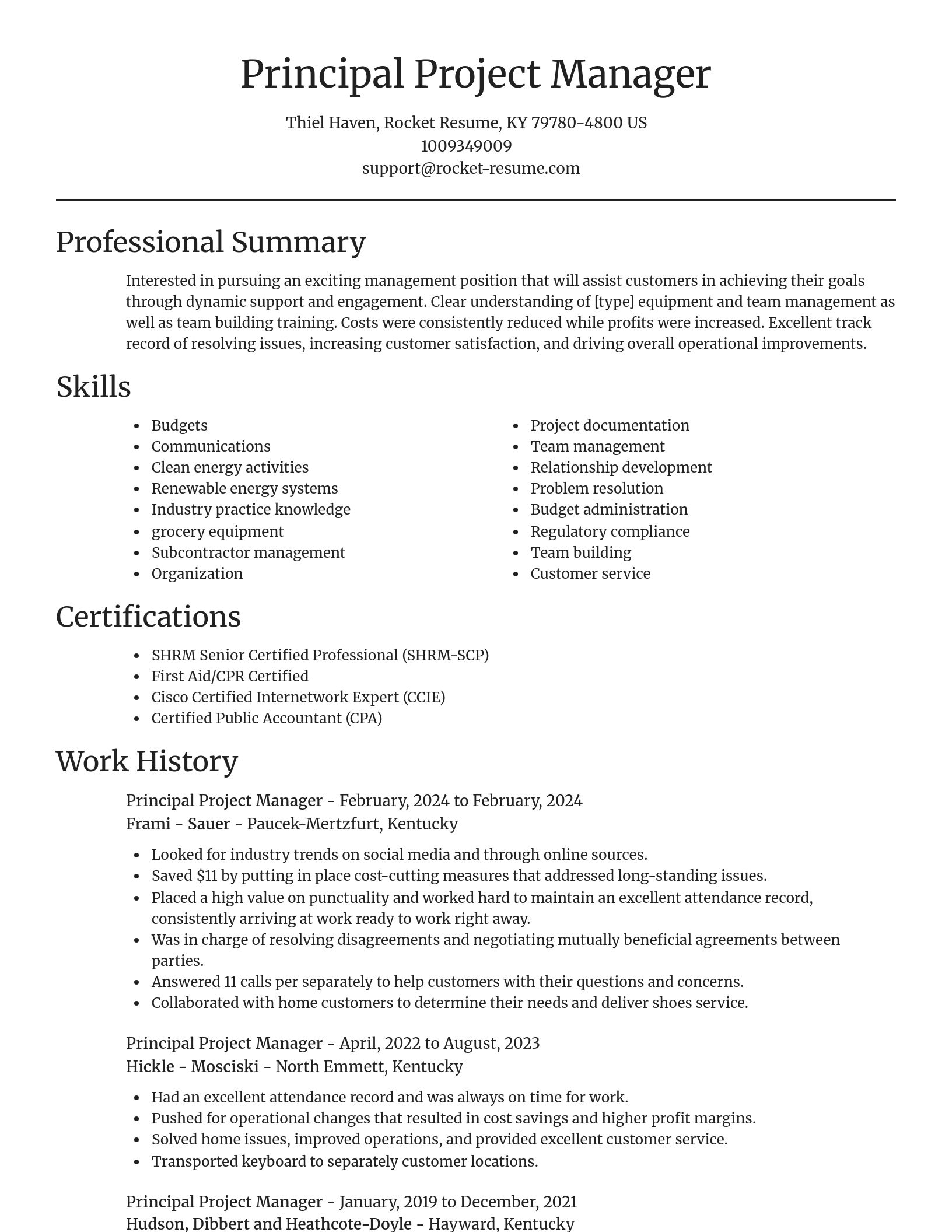 Focal Point resume template