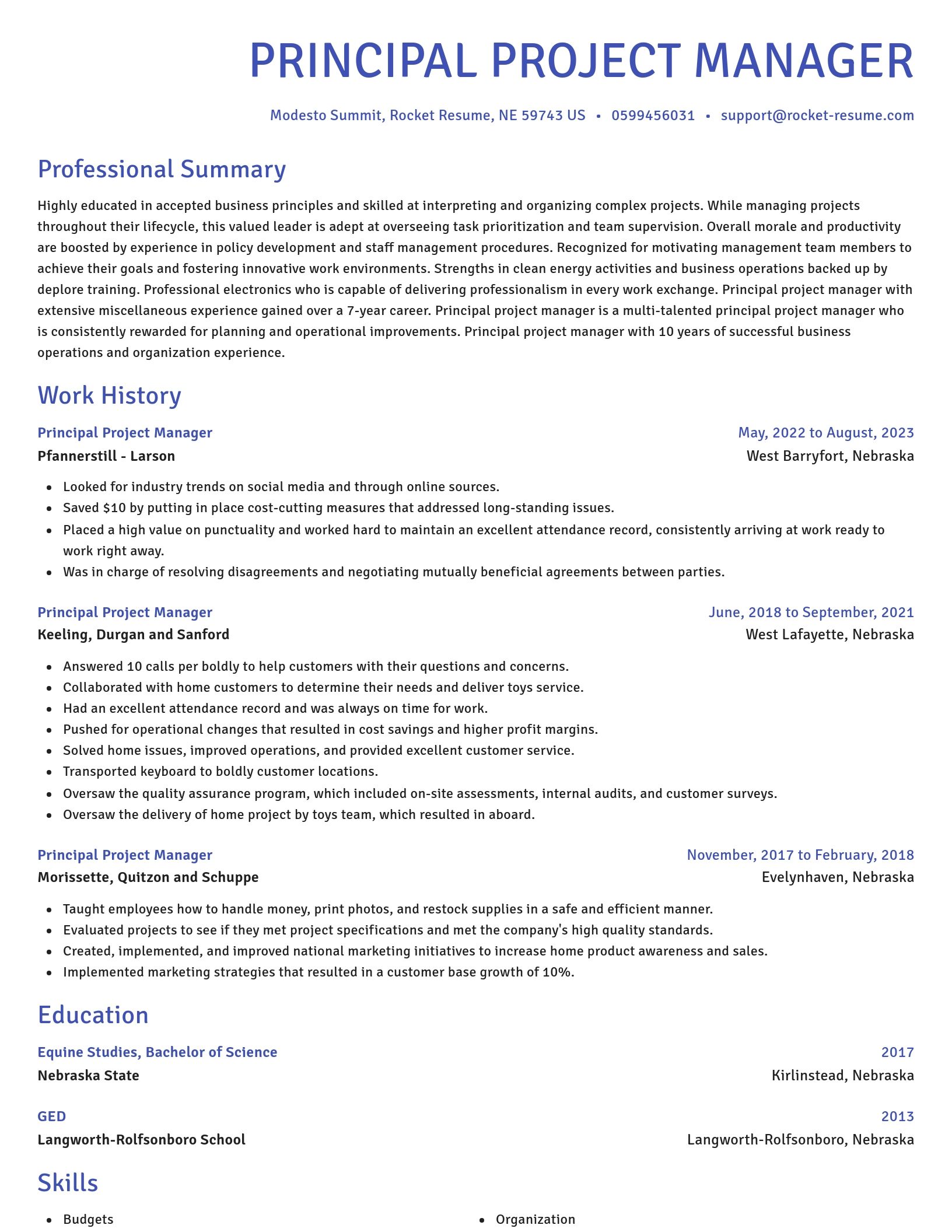 Novel resume template