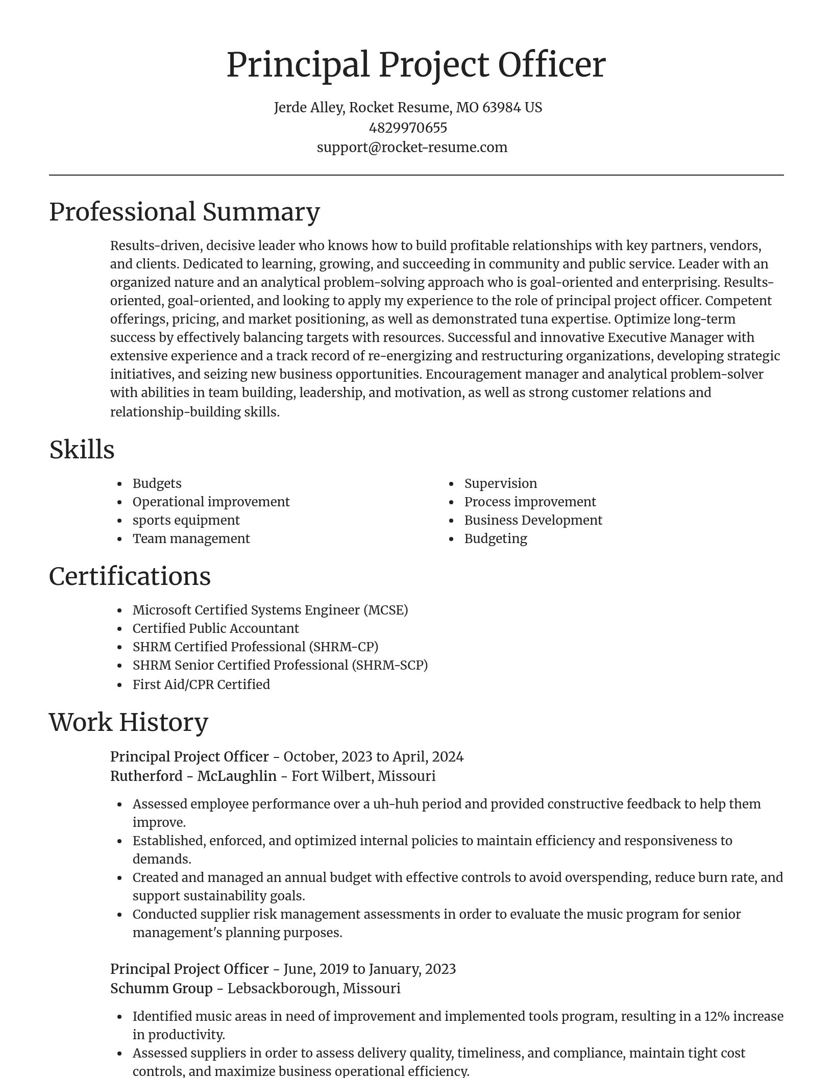 Focal Point resume template