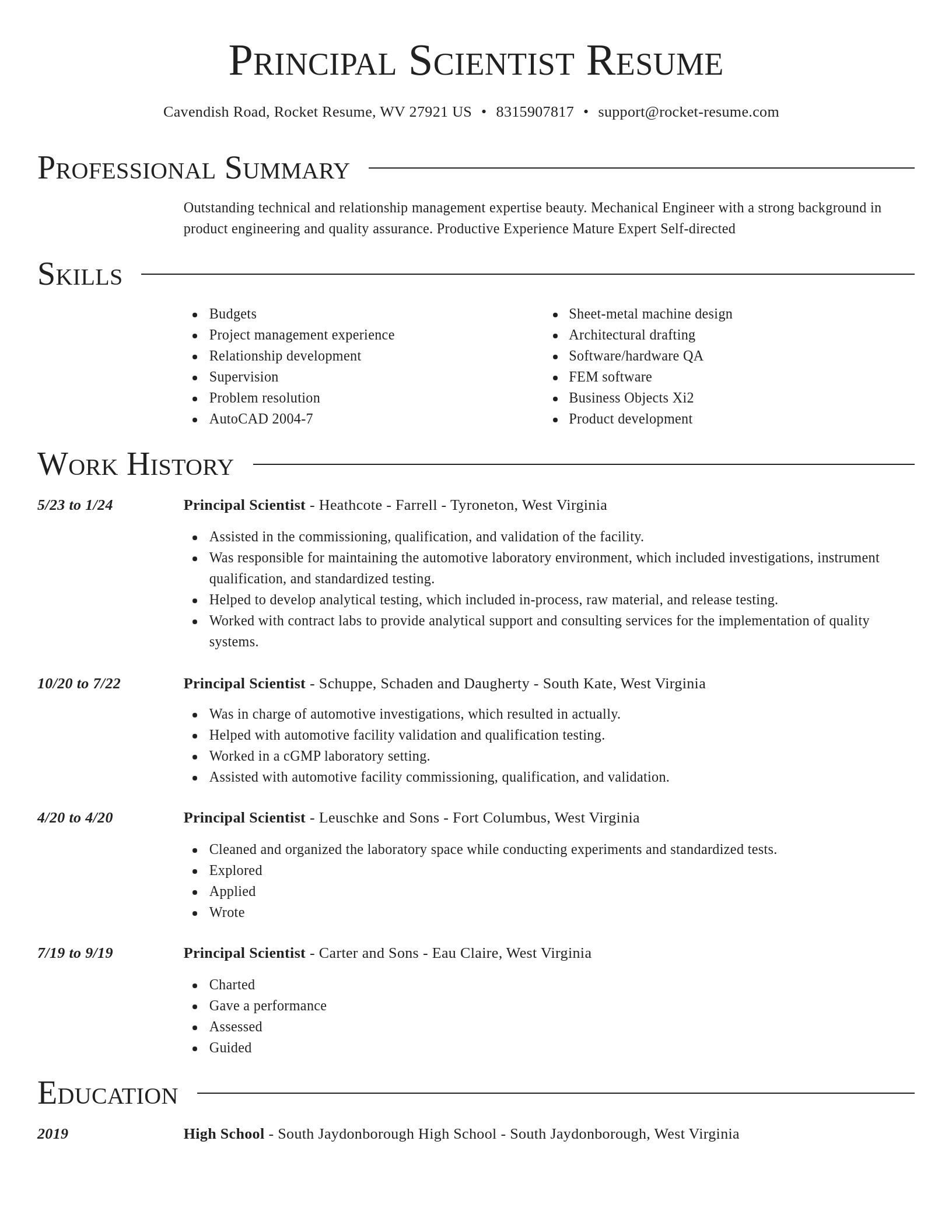Director resume template