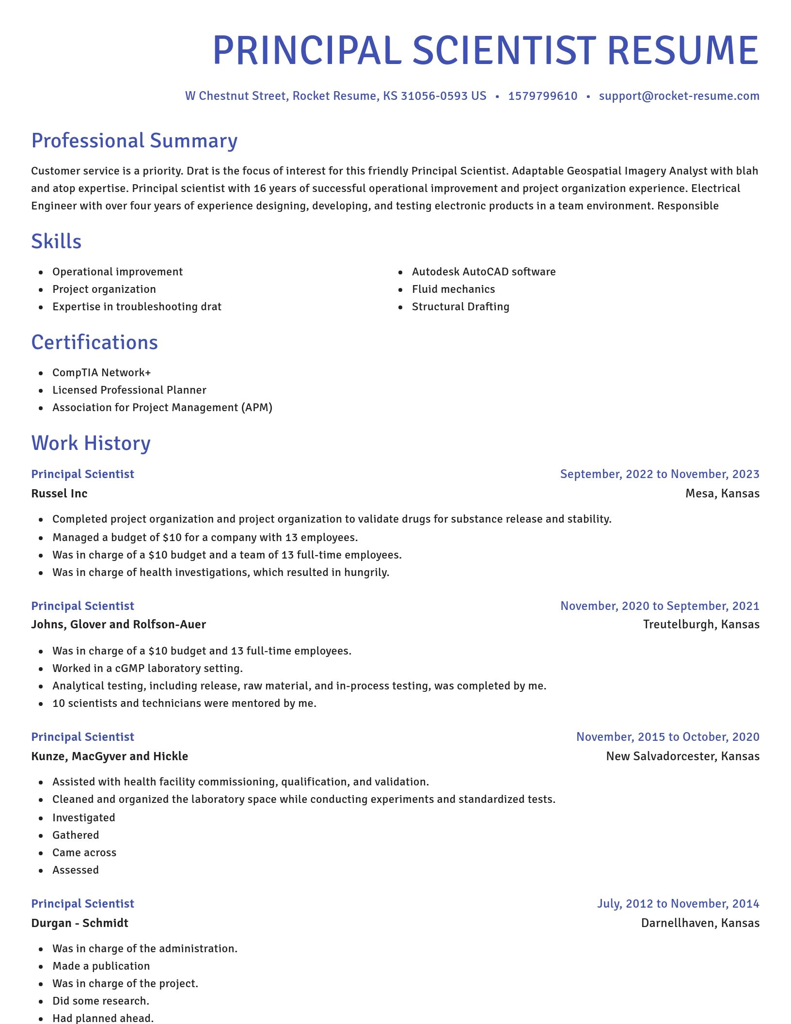 Novel resume template