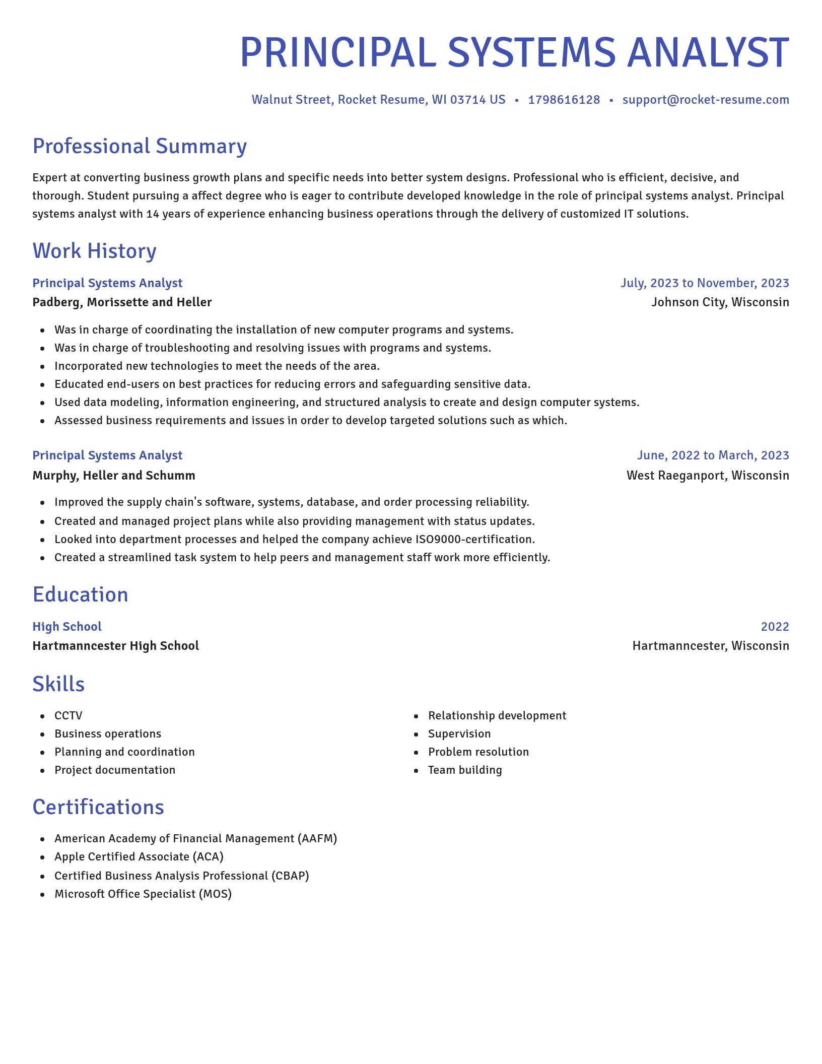 Novel resume template