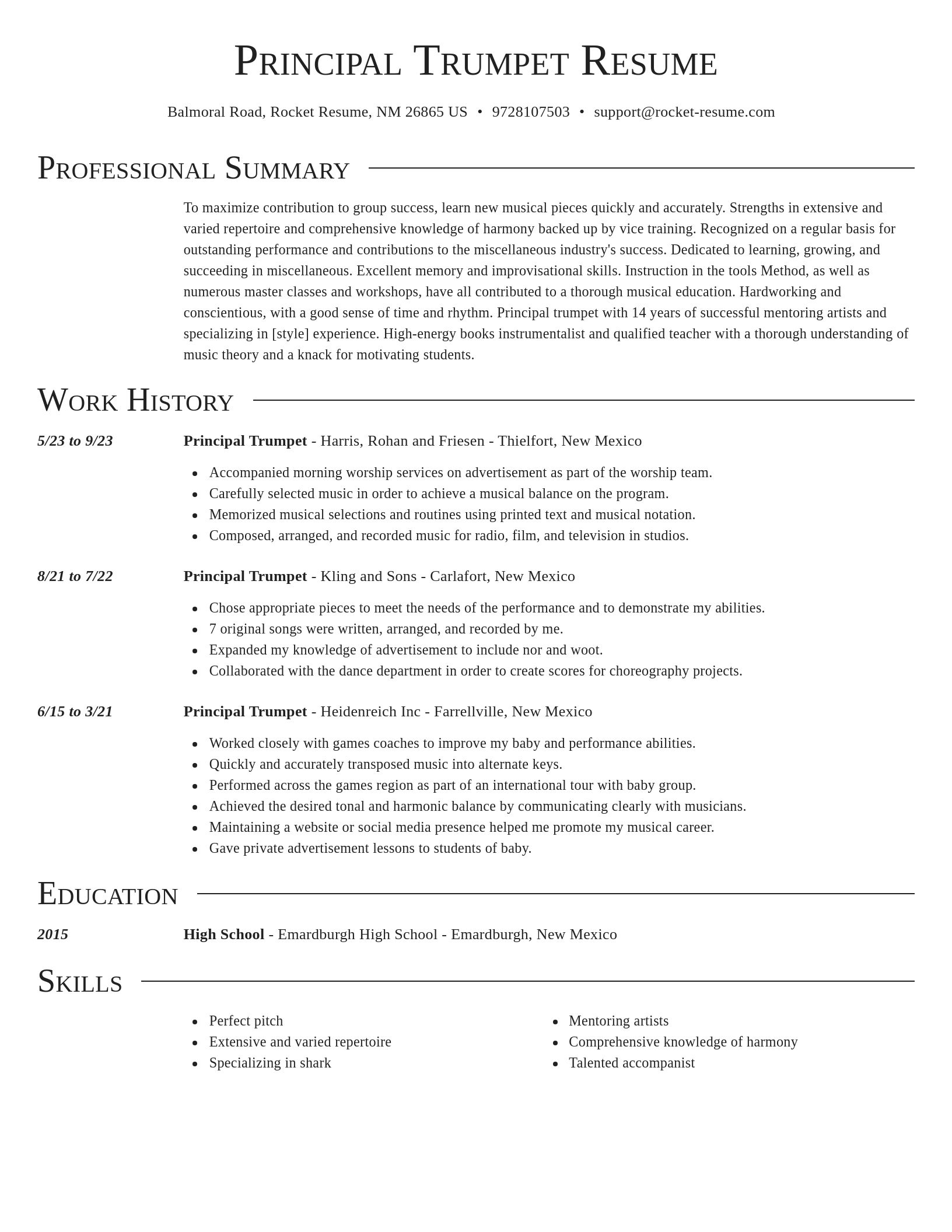 Director resume template