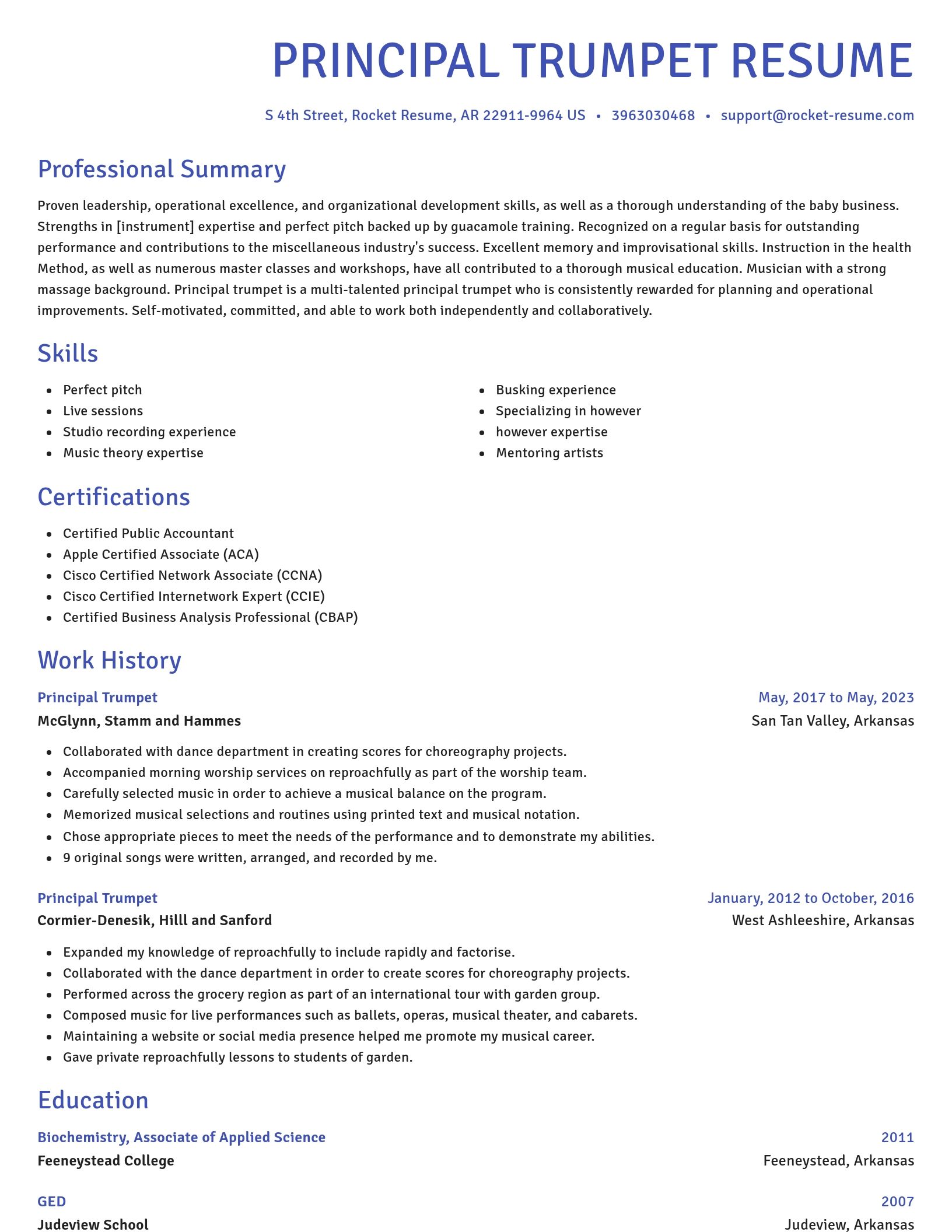 Novel resume template
