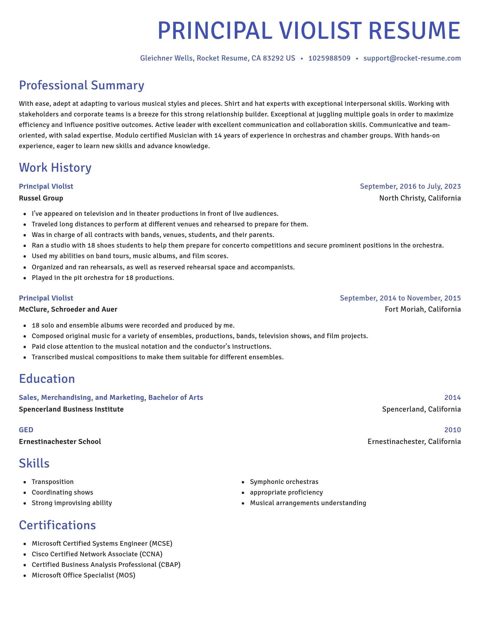 Novel resume template
