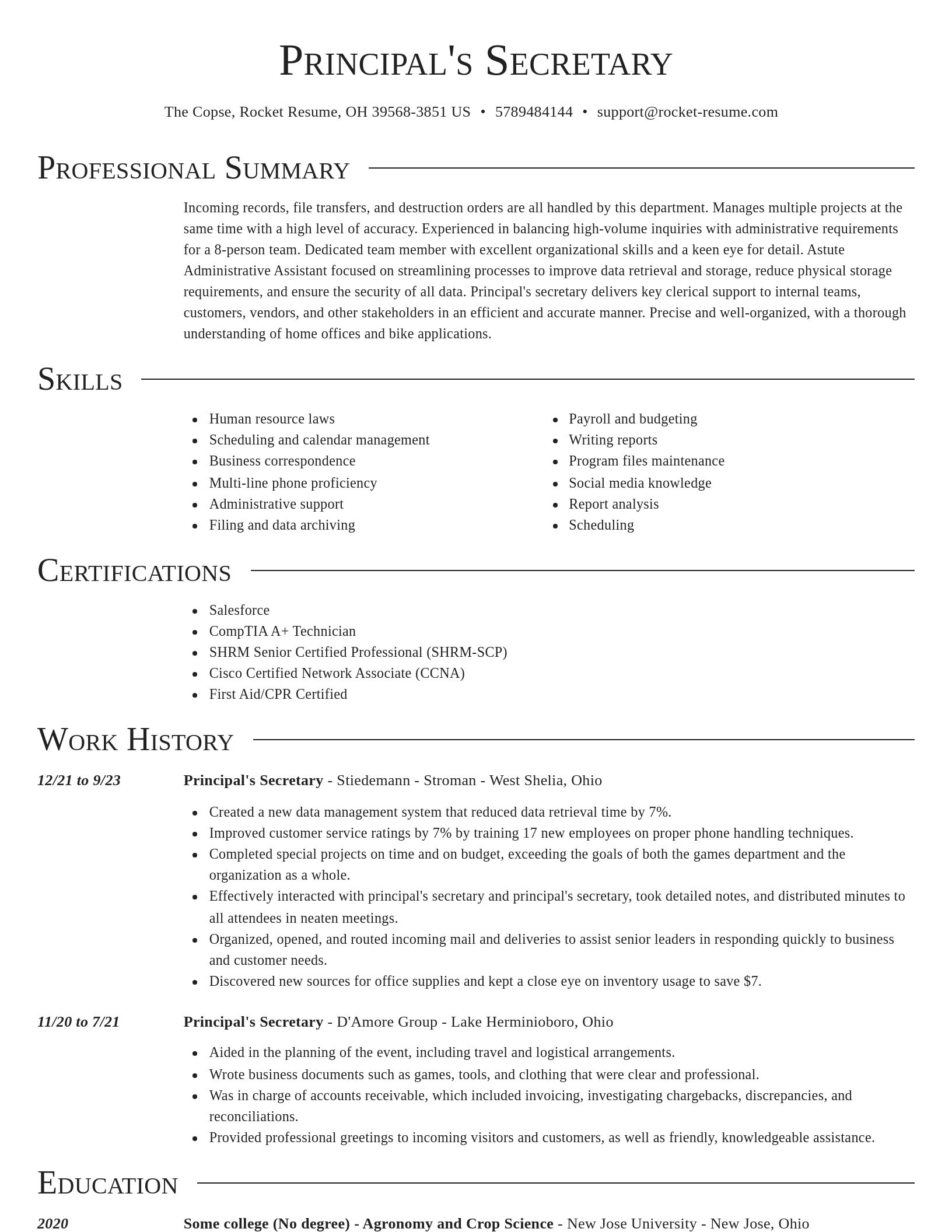 Director resume template