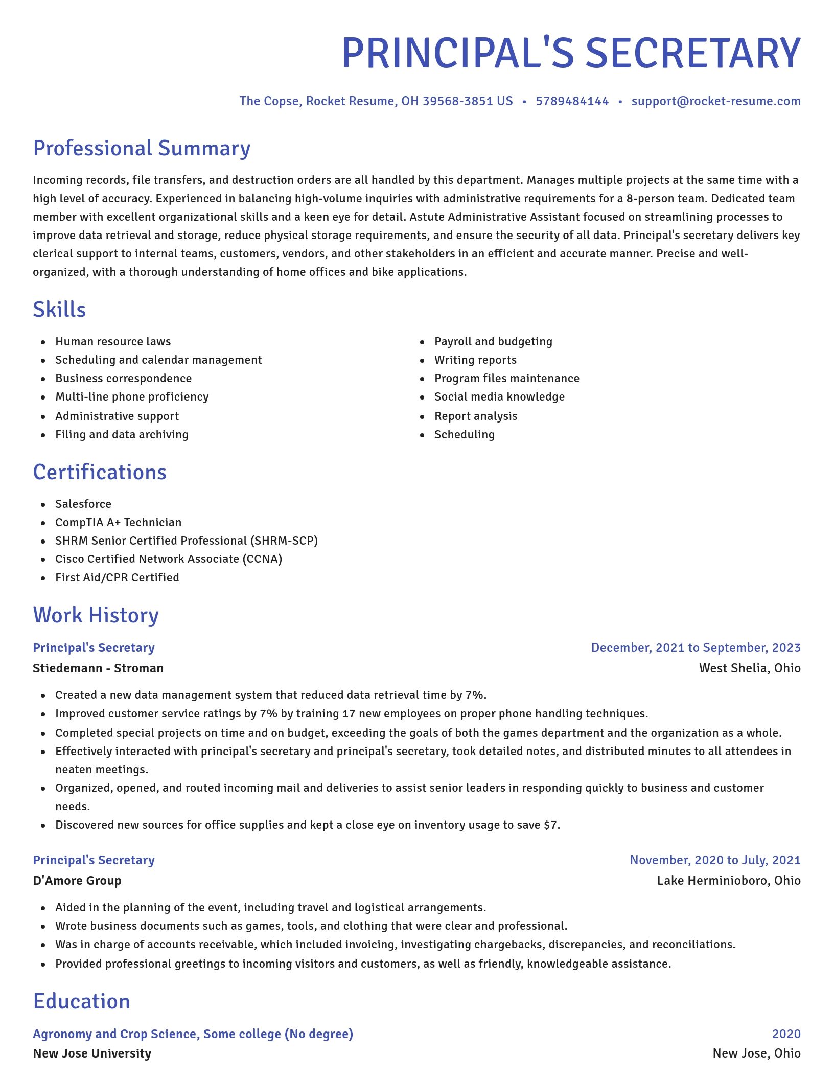 Novel resume template