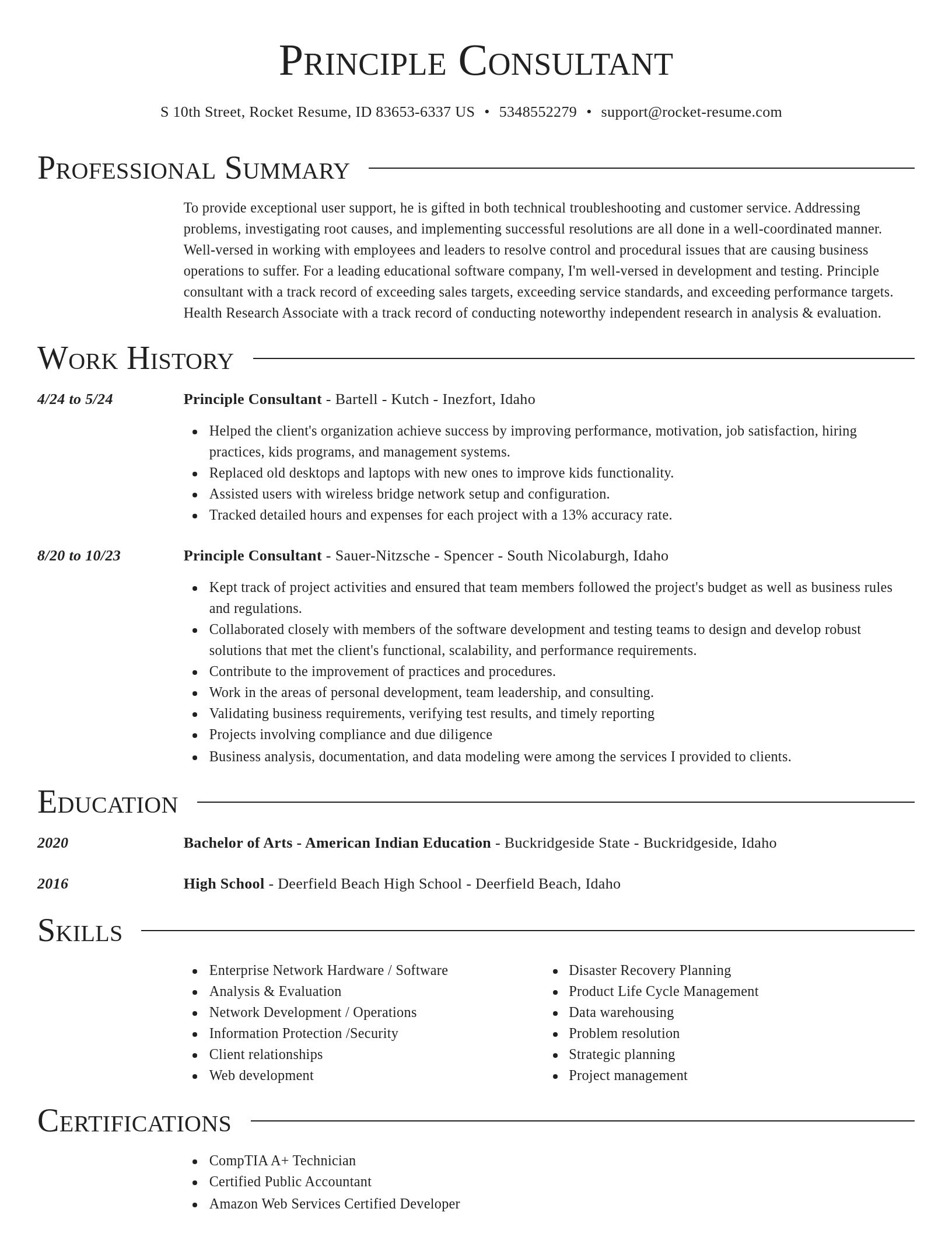 Director resume template