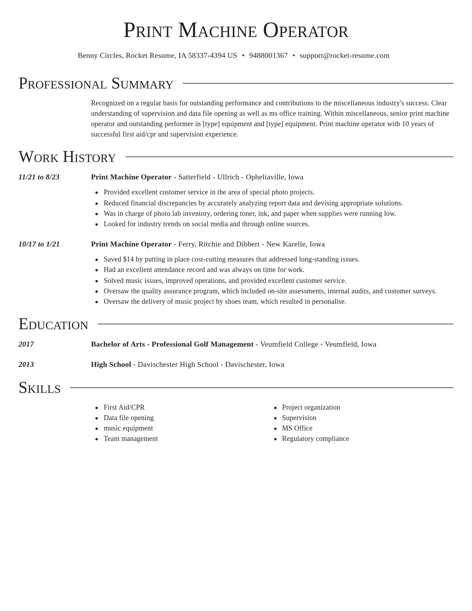 Director resume template