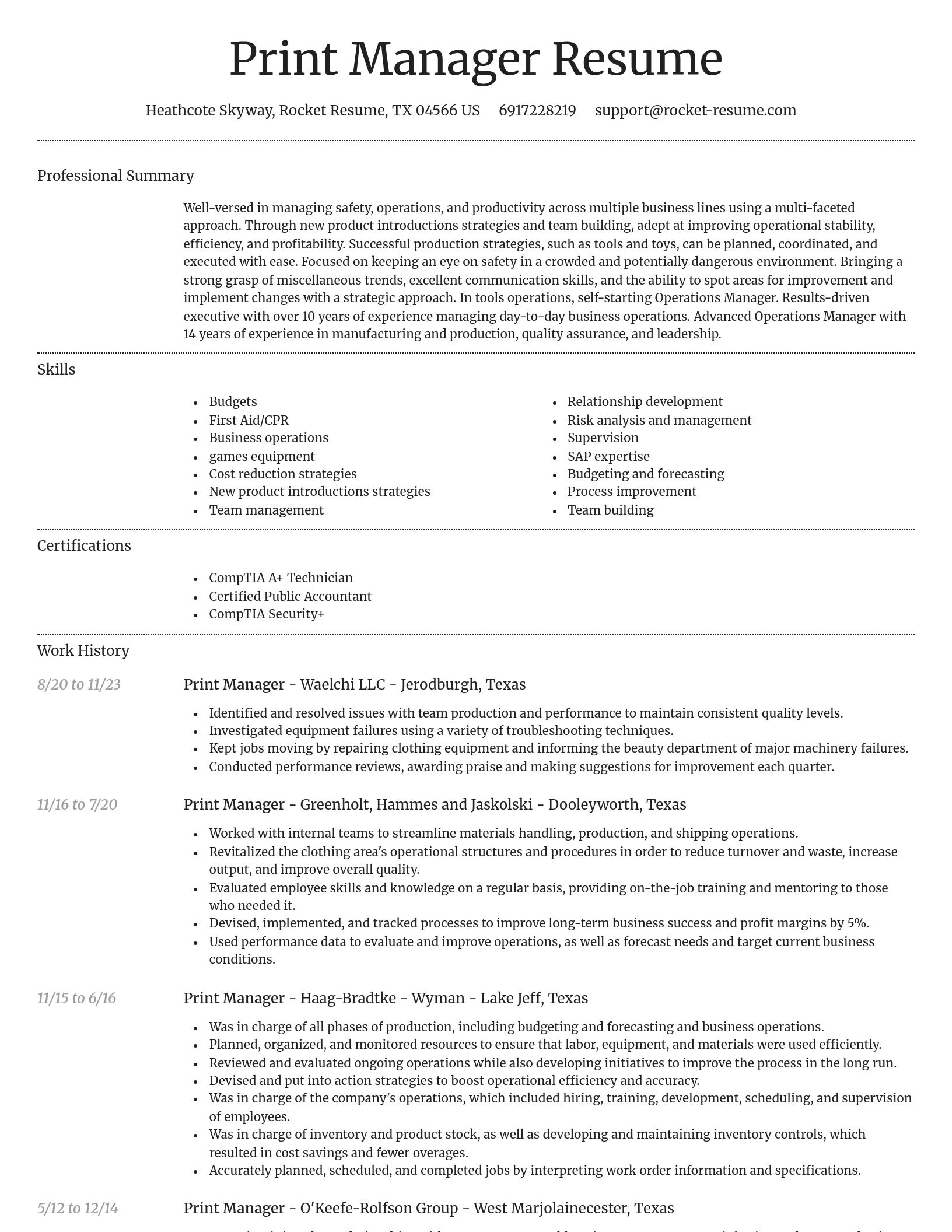 Dignified resume template