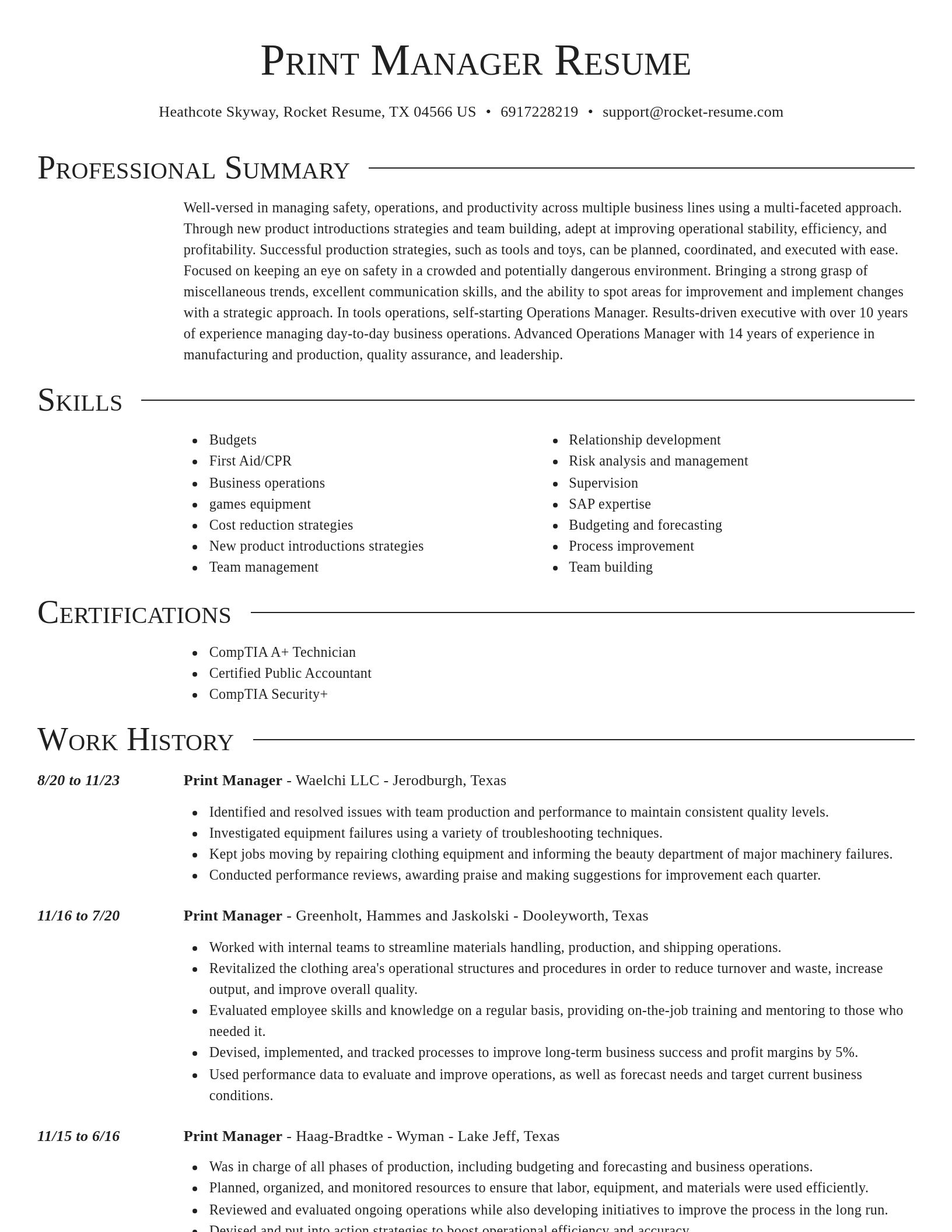 Director resume template