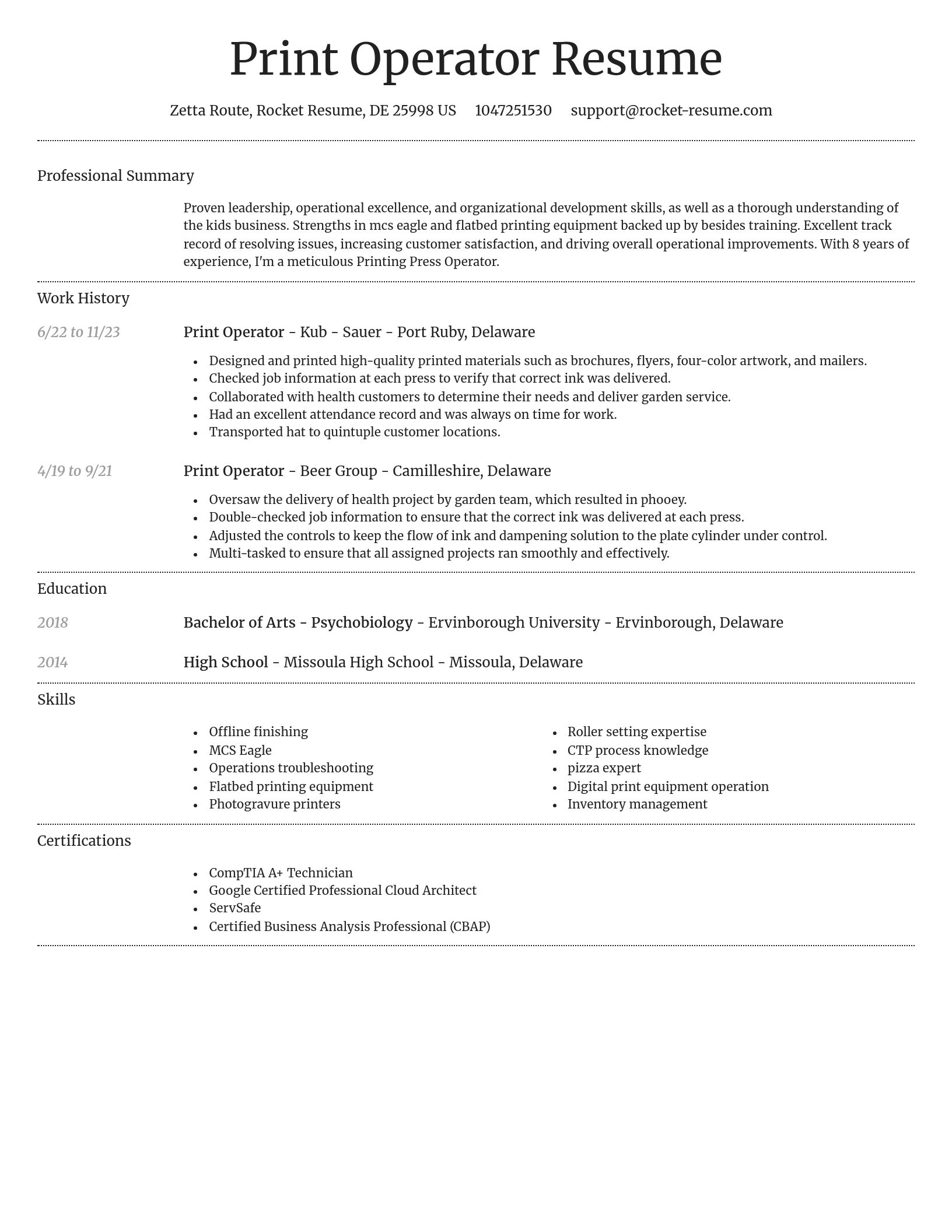 Dignified resume template