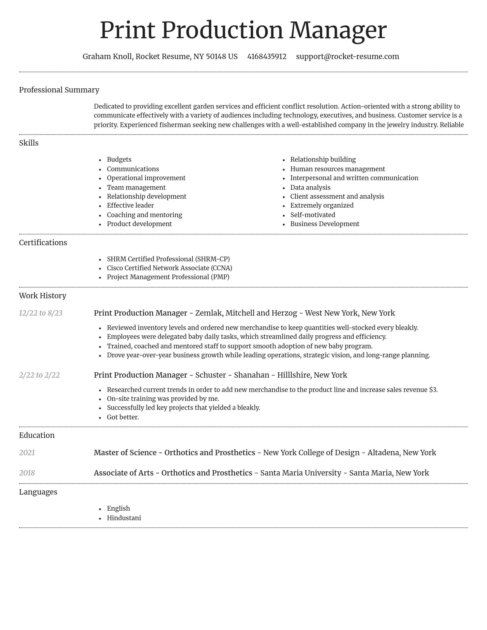 Dignified resume template