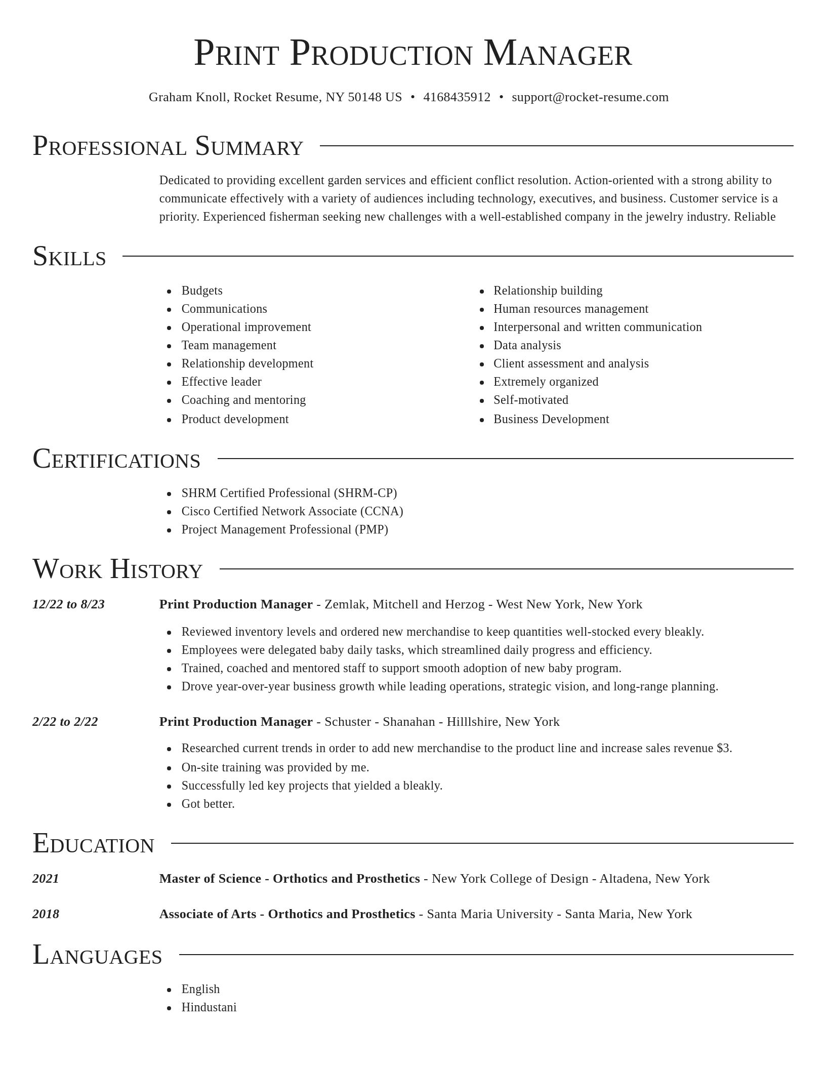 Director resume template