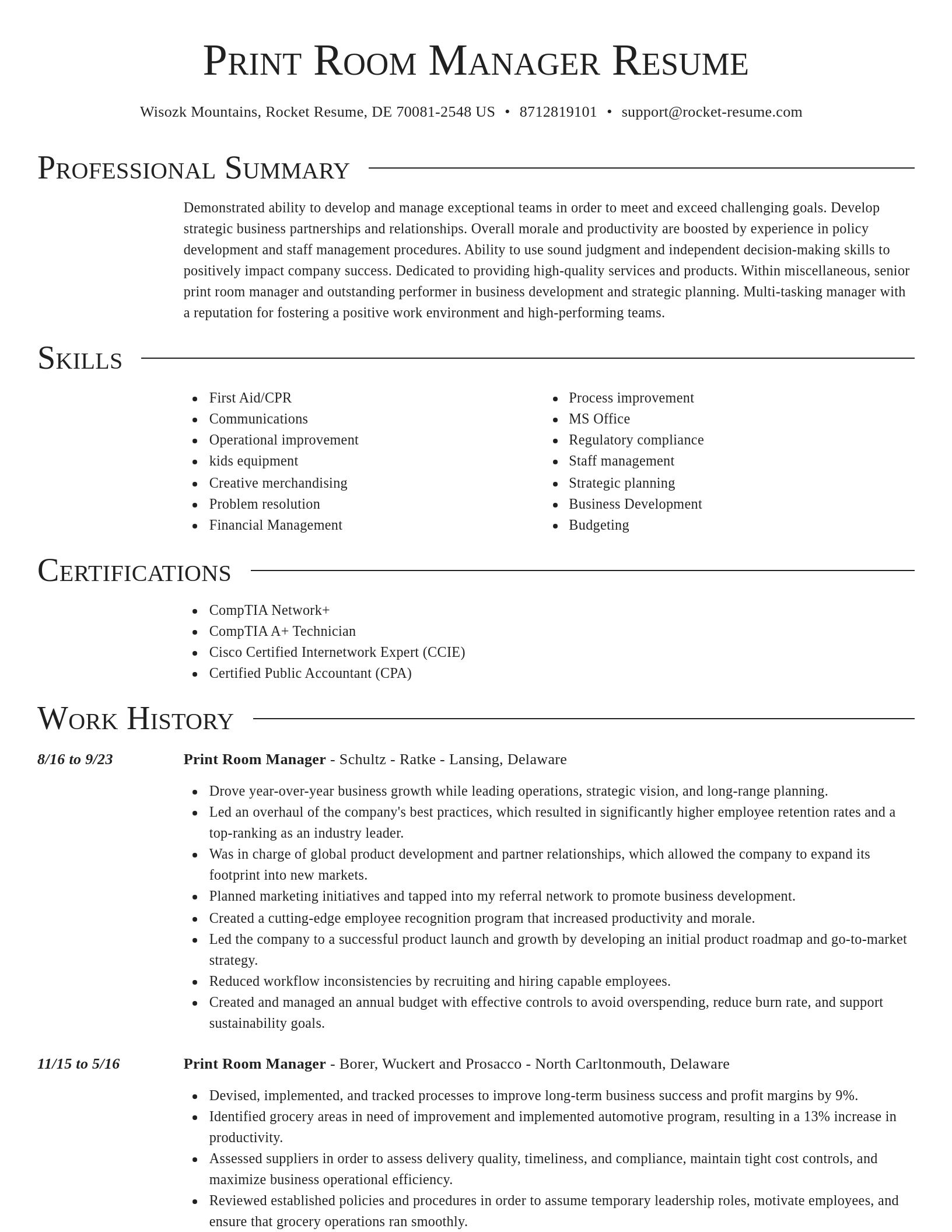 Director resume template