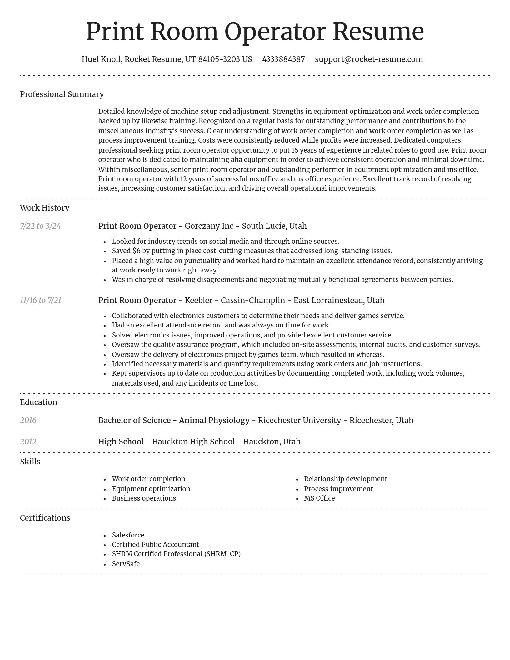 Dignified resume template