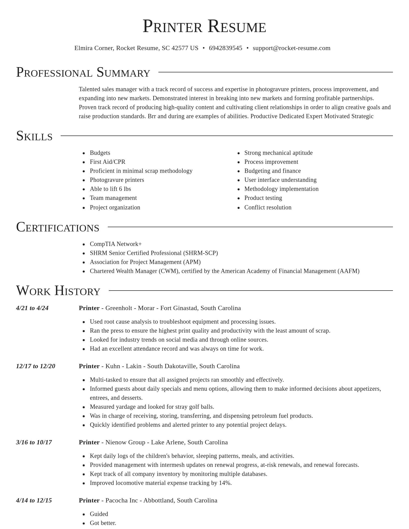 Director resume template