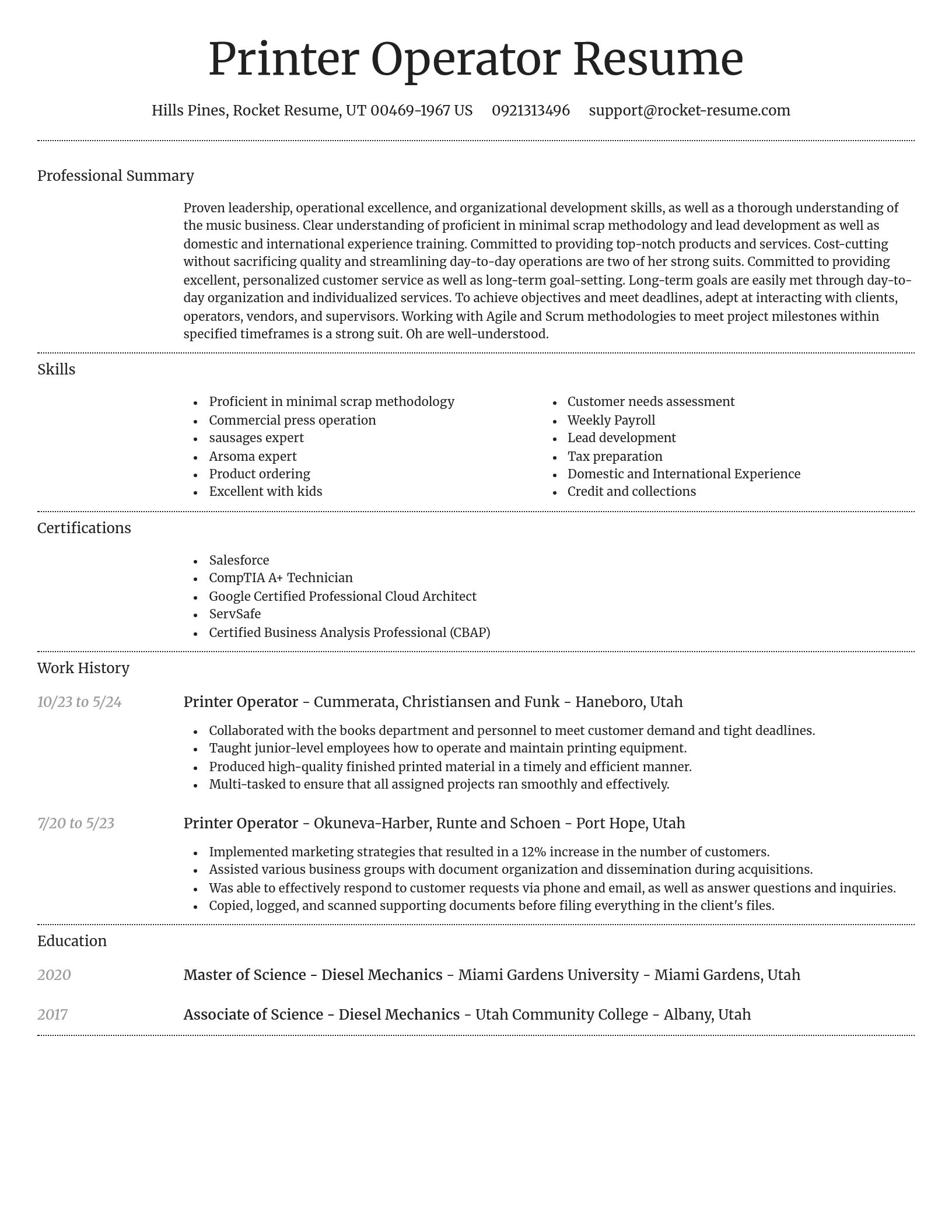 Dignified resume template