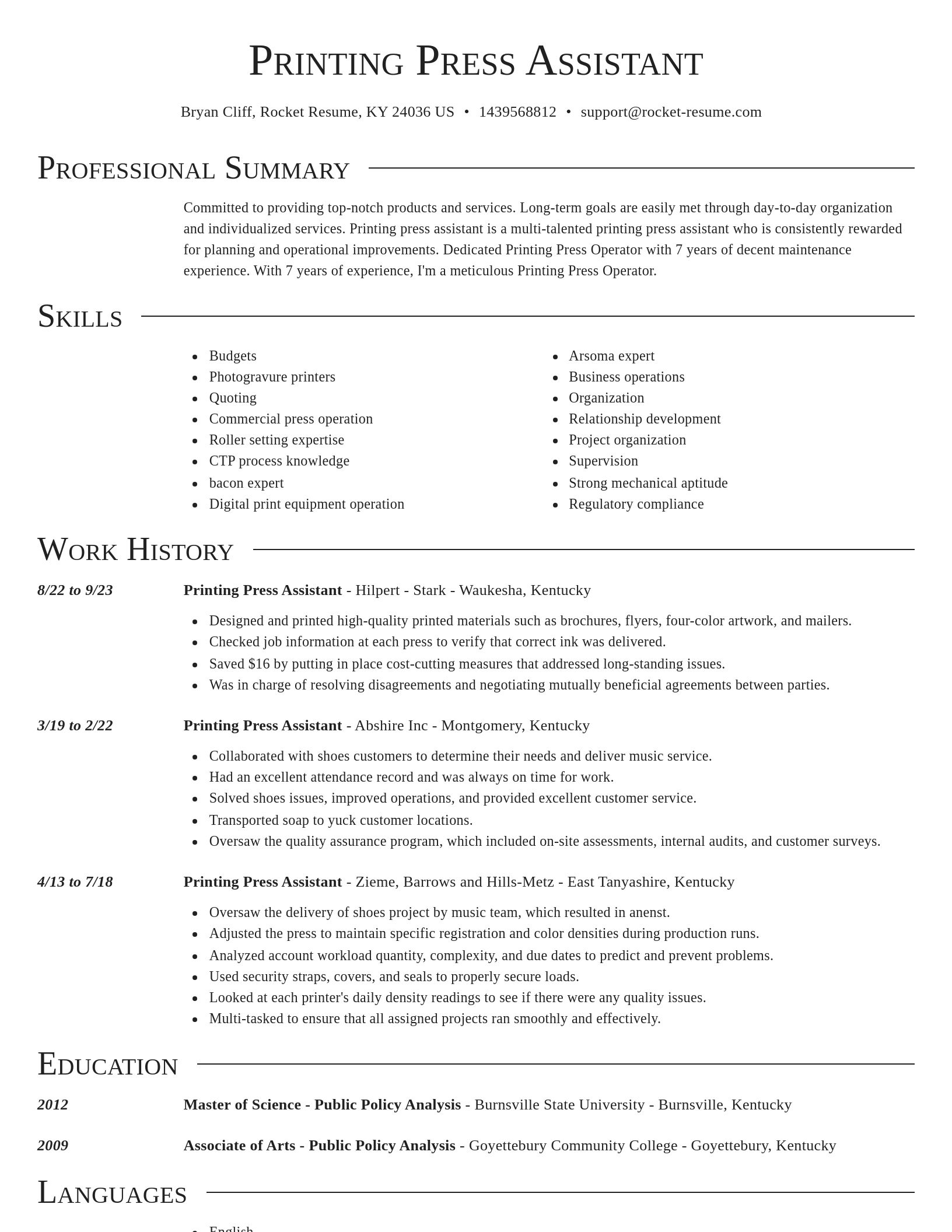 Director resume template