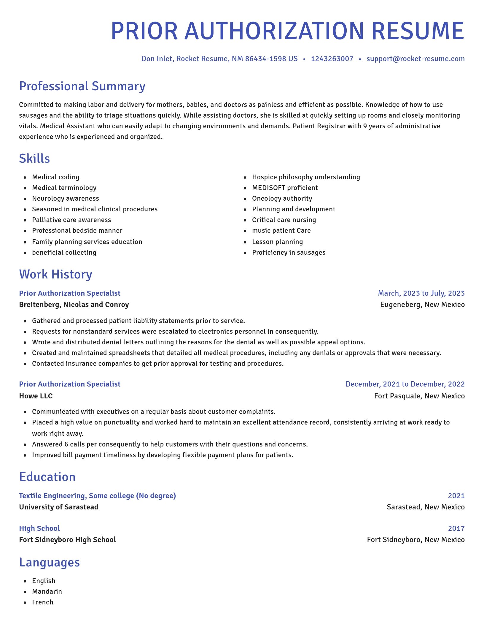 Novel resume template
